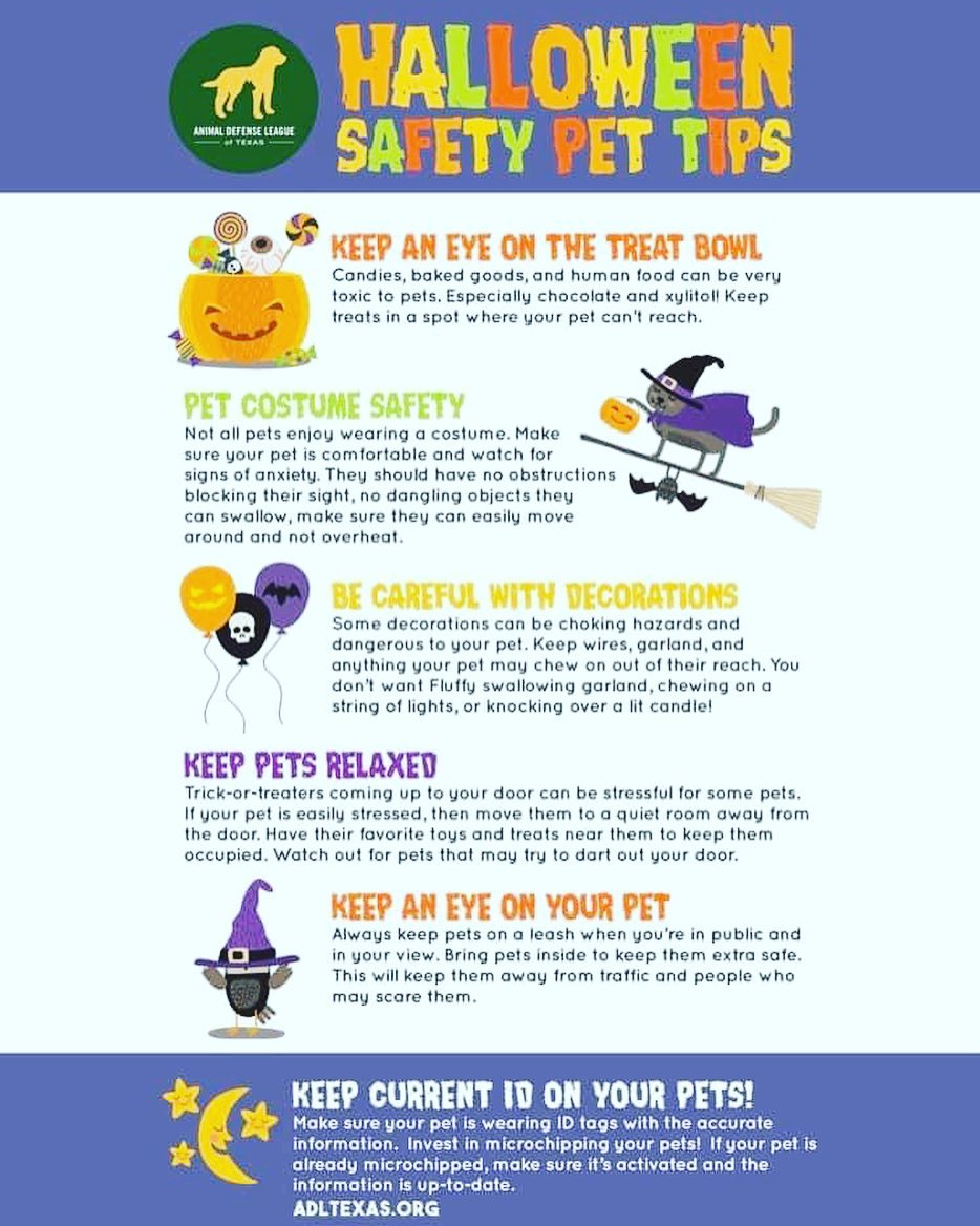 Halloween can be a fun time for our kids as well as adults, but can pose dangers for our pet￼s. Here’s a few tips below. Please let us know if you think of other suggestions. ￼