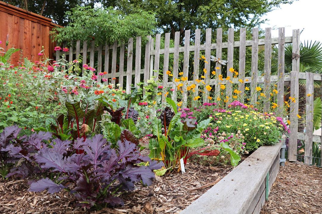 Last Saturday, the WaterWise Landscape Tour was all the buzz 🐝 

We hope you felt inspired by these beautiful and sustainable local landscapes! 🌷🌼💧

<a target='_blank' href='https://www.instagram.com/explore/tags/loveplano/'>#loveplano</a> <a target='_blank' href='https://www.instagram.com/explore/tags/planotx/'>#planotx</a> <a target='_blank' href='https://www.instagram.com/explore/tags/sustainability/'>#sustainability</a> <a target='_blank' href='https://www.instagram.com/explore/tags/garden/'>#garden</a>