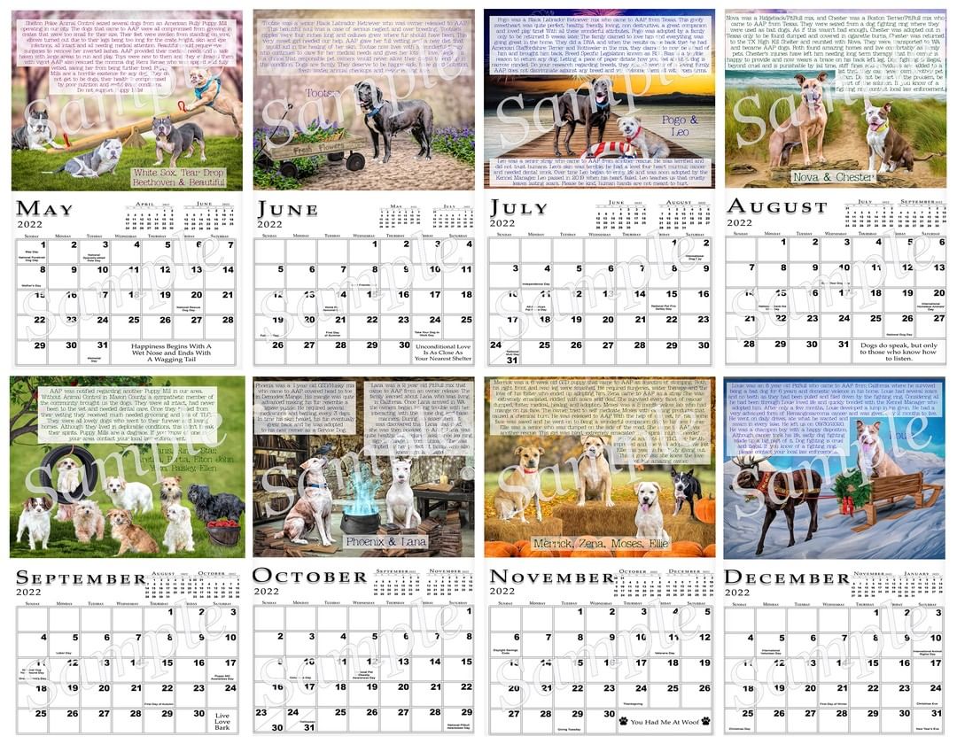 We are so excited to bring you the 2022 Alumni Calendar. This year's calendar is a very special calendar and means so much to all of the volunteers at Adopt-a-Pet. The calendar features several of our wonderful Special Care Dogs who have found their furever homes and a couple who are still looking. It features 14 gorgeous art pieces created by Volunteer Photographer, Sherry Simon and 14 heartfelt stories written by Kennel Manager, Di Agee.

This calendar was inspired by our very own Heidi Girl who has since passed but will never be forgotten. Her story is at the end of the calendar and is near and dear to all of the volunteers who helped her through her recovery process at Adopt-a-Pet. Heidi Girl and all of our special care dogs may have started with heartache, but thanks to the AAP volunteers and community support, their stories became success stories allowing them to experience the love that they so deserve. 