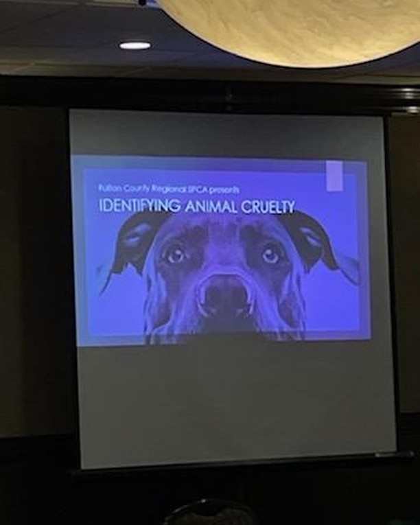 More photos from yesterday's Identifying Animal Cruelty Workshop with a guest list of 80+ people, some traveling as much as 3.5 hrs away just to be there! The community's feedback has been all positive and we are already being asked 