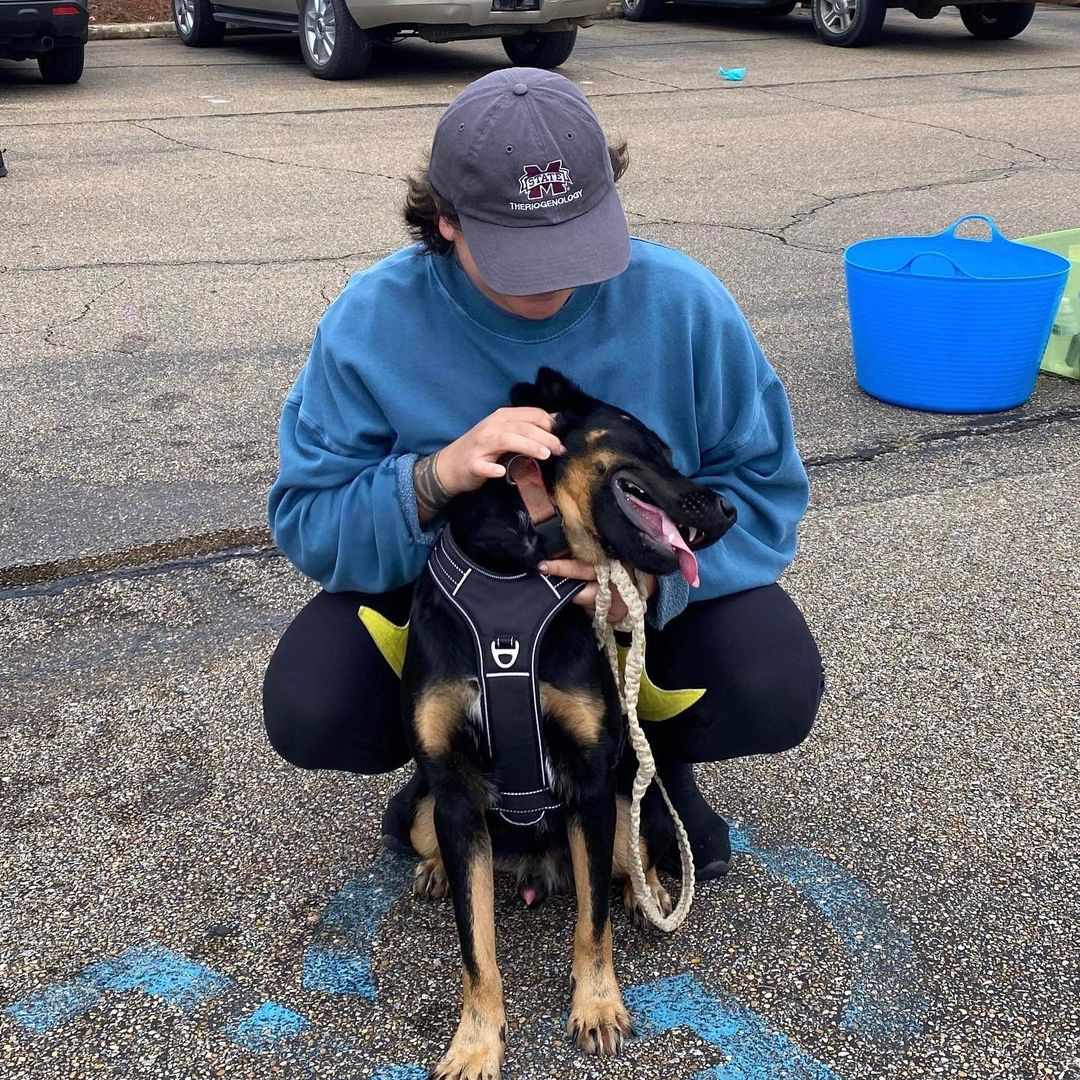 👻🎃HAPPY HALLOWEEN🎃👻

The OCHS Staff, Volunteers, Friends, and Residents want to wish everyone a safe, spooky, spectacular, and happy Halloween! 

Pictured below is one of our residents, Choctaw, who participated in the Vet School’s Halloween 5K yesterday! This run, sponsored by @hillspet , supported MSU Vet School’s Homeward Bound program! This program, much like the <a target='_blank' href='https://www.instagram.com/explore/tags/OCHSExpress/'>#OCHSExpress</a>, helps move dogs from MS to other regions of the country to help them find safe, happy, furrever homes! We’re so happy to offer our support such a wonderful program and thankful that some of our pups were able to get out of the shelter and stretch their legs for such a good cause! 

* For more on MSState VetMed Homeward Bound, see: https://www.vetmed.msstate.edu/outreach/community-engagement/service/homeward-bound
* For more on the OCHS Express, see: www.ochsms.org 

<a target='_blank' href='https://www.instagram.com/explore/tags/begooddogood/'>#begooddogood</a> <a target='_blank' href='https://www.instagram.com/explore/tags/homewardboundms/'>#homewardboundms</a> <a target='_blank' href='https://www.instagram.com/explore/tags/vetmed/'>#vetmed</a> <a target='_blank' href='https://www.instagram.com/explore/tags/vetrinarymedicine/'>#vetrinarymedicine</a> <a target='_blank' href='https://www.instagram.com/explore/tags/outreach/'>#outreach</a> <a target='_blank' href='https://www.instagram.com/explore/tags/myfavoritebreedisrescued/'>#myfavoritebreedisrescued</a> <a target='_blank' href='https://www.instagram.com/explore/tags/sheleterdogs/'>#sheleterdogs</a> <a target='_blank' href='https://www.instagram.com/explore/tags/dogsofinstagram/'>#dogsofinstagram</a> <a target='_blank' href='https://www.instagram.com/explore/tags/rescuedogs/'>#rescuedogs</a> <a target='_blank' href='https://www.instagram.com/explore/tags/adoptashelterdog/'>#adoptashelterdog</a> <a target='_blank' href='https://www.instagram.com/explore/tags/ochs/'>#ochs</a> <a target='_blank' href='https://www.instagram.com/explore/tags/adoptdontshop/'>#adoptdontshop</a> <a target='_blank' href='https://www.instagram.com/explore/tags/animalrescue/'>#animalrescue</a> <a target='_blank' href='https://www.instagram.com/explore/tags/spayandneuter/'>#spayandneuter</a> <a target='_blank' href='https://www.instagram.com/explore/tags/adoptables/'>#adoptables</a> <a target='_blank' href='https://www.instagram.com/explore/tags/humanesociety/'>#humanesociety</a> <a target='_blank' href='https://www.instagram.com/explore/tags/animalwelfare/'>#animalwelfare</a> <a target='_blank' href='https://www.instagram.com/explore/tags/whywerescue/'>#whywerescue</a> <a target='_blank' href='https://www.instagram.com/explore/tags/adoptezmoi/'>#adoptezmoi</a> <a target='_blank' href='https://www.instagram.com/explore/tags/adoptme/'>#adoptme</a> <a target='_blank' href='https://www.instagram.com/explore/tags/starkvillems/'>#starkvillems</a> <a target='_blank' href='https://www.instagram.com/explore/tags/mspets/'>#mspets</a> <a target='_blank' href='https://www.instagram.com/explore/tags/petsofinstagram/'>#petsofinstagram</a> <a target='_blank' href='https://www.instagram.com/explore/tags/rescuelove/'>#rescuelove</a>