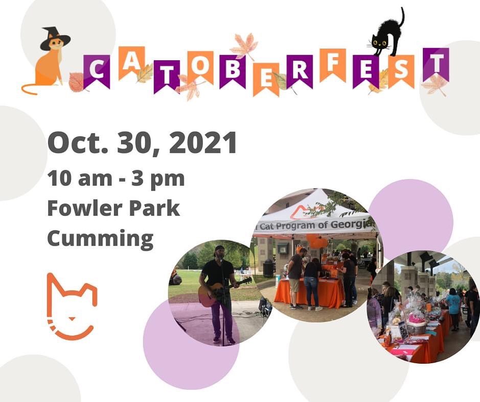 Only one more sleep until Catoberfest! This means🚨NO ADOPTIONS TOMORROW🚨

Instead, join us at Fowler Park from 10am-3pm for delicious @muttandjeffsmokehouse BBQ, live music from @brianwiltseymusic, silent auction, artist market, photo booth, food trucks, and more! All proceeds go toward a new transport van - Come help us save more cats! 

For more info visit 
fcpga.org/catoberfest