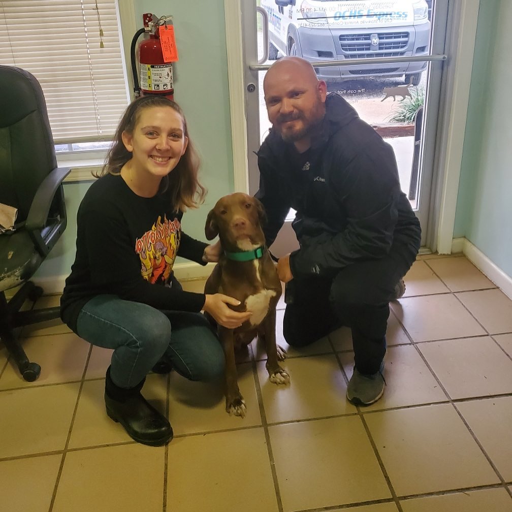 👑🐾<a target='_blank' href='https://www.instagram.com/explore/tags/FurreverHome/'>#FurreverHome</a>🐾👑

When we say fostering saves lives, we totally mean it from the bottom of our heart! Sweet Brownie came to us in August of 2020 in poor shape (weighing only 33lbs!) and in need of a lot of TLC to help him come out of his shell and adjust to the life of a spoiled, pampered pup! Thanks to his foster Katie (and a few other amazing fosters before her), Brownie has developed into an amazing, healthy boy and, today, Brownie found his furrever home! This was truly a match worth waiting for — Brownie and Aaron were truly meant to be! We cannot wait to see how this handsome guy continues to grow and the adventures these two will share! 

🌟Happy Tails, Brownie!🌟

We’re always so excited to announce newly minted <a target='_blank' href='https://www.instagram.com/explore/tags/OCHSAlumni/'>#OCHSAlumni</a> and to be a part of helping them find their furrever homes! Are you ready to find your new best friend? Or maybe you want to foster a pup like Brownie? Come see us at the shelter or check us out online! 

💌: shelter@ochsms.org
☎️: 662-338-9093
🖥: www.ochsms.org/adopt

<a target='_blank' href='https://www.instagram.com/explore/tags/sheleterdogs/'>#sheleterdogs</a> <a target='_blank' href='https://www.instagram.com/explore/tags/dogsofinstagram/'>#dogsofinstagram</a> <a target='_blank' href='https://www.instagram.com/explore/tags/rescuedogs/'>#rescuedogs</a> <a target='_blank' href='https://www.instagram.com/explore/tags/adoptashelterdog/'>#adoptashelterdog</a> <a target='_blank' href='https://www.instagram.com/explore/tags/ochs/'>#ochs</a> <a target='_blank' href='https://www.instagram.com/explore/tags/adoptdontshop/'>#adoptdontshop</a> <a target='_blank' href='https://www.instagram.com/explore/tags/animalrescue/'>#animalrescue</a> <a target='_blank' href='https://www.instagram.com/explore/tags/spayandneuter/'>#spayandneuter</a> <a target='_blank' href='https://www.instagram.com/explore/tags/adoptables/'>#adoptables</a> <a target='_blank' href='https://www.instagram.com/explore/tags/humanesociety/'>#humanesociety</a> <a target='_blank' href='https://www.instagram.com/explore/tags/animalwelfare/'>#animalwelfare</a> <a target='_blank' href='https://www.instagram.com/explore/tags/whywerescue/'>#whywerescue</a> <a target='_blank' href='https://www.instagram.com/explore/tags/adoptezmoi/'>#adoptezmoi</a> <a target='_blank' href='https://www.instagram.com/explore/tags/adoptme/'>#adoptme</a> <a target='_blank' href='https://www.instagram.com/explore/tags/starkvillems/'>#starkvillems</a> <a target='_blank' href='https://www.instagram.com/explore/tags/mspets/'>#mspets</a> <a target='_blank' href='https://www.instagram.com/explore/tags/petsofinstagram/'>#petsofinstagram</a> <a target='_blank' href='https://www.instagram.com/explore/tags/rescuelove/'>#rescuelove</a>