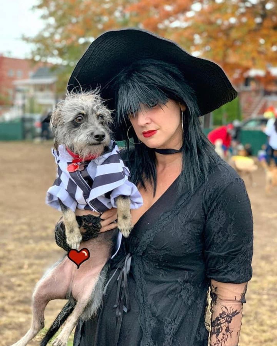 Happy Halloween!! From Adoptable Lacey and some of the FWFP Gang!! No tricks, ALL TREATS!! 🎃🦴🎃🦴🎃🦴

<a target='_blank' href='https://www.instagram.com/explore/tags/rescuelife/'>#rescuelife</a> <a target='_blank' href='https://www.instagram.com/explore/tags/adoptdontshop/'>#adoptdontshop</a> <a target='_blank' href='https://www.instagram.com/explore/tags/halloween/'>#halloween</a> <a target='_blank' href='https://www.instagram.com/explore/tags/trickortreat/'>#trickortreat</a> <a target='_blank' href='https://www.instagram.com/explore/tags/gooddog/'>#gooddog</a> <a target='_blank' href='https://www.instagram.com/explore/tags/yay/'>#yay</a> <a target='_blank' href='https://www.instagram.com/explore/tags/halloweencostumes/'>#halloweencostumes</a>