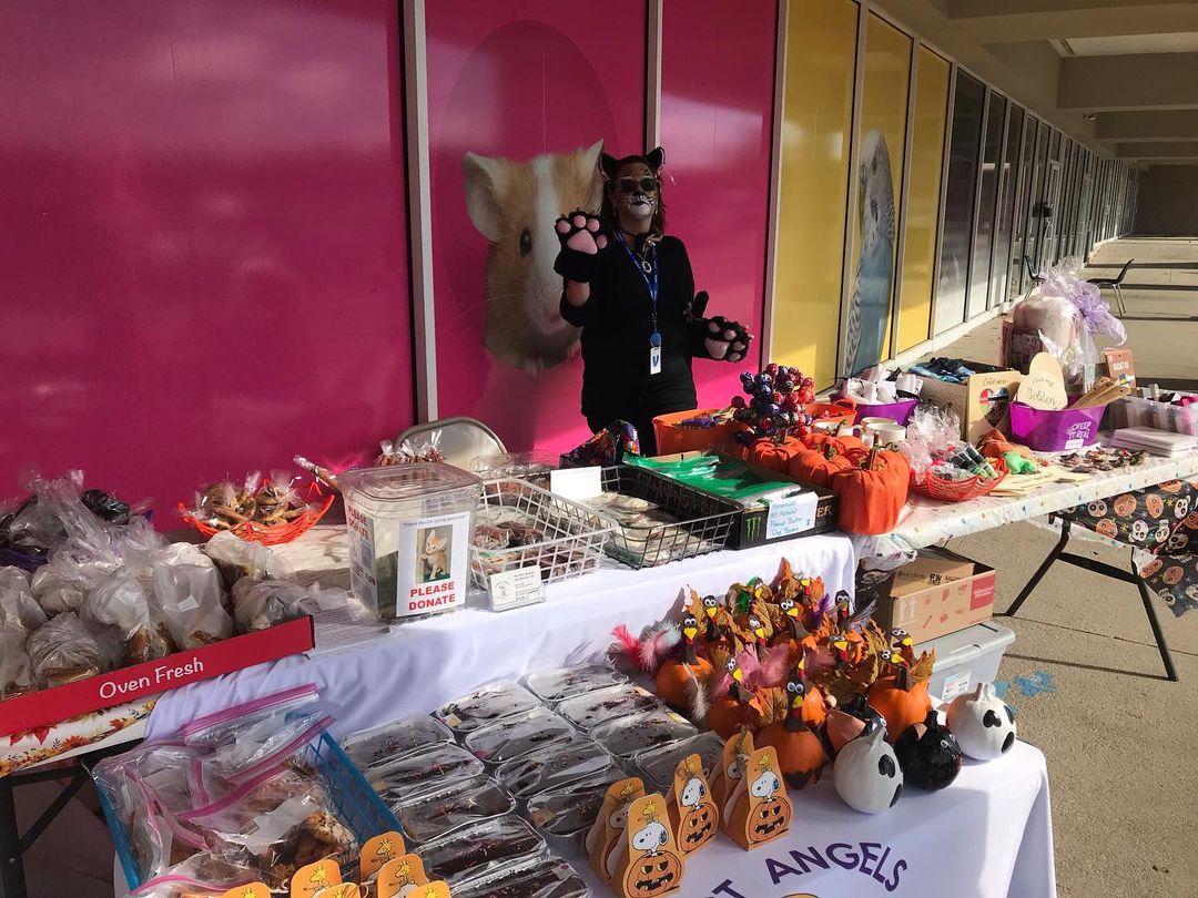 There is a wonderful table full of treats🧡🍫🧁🍪🖤 at Petsmart in Turnersville today!🐈‍⬛🐈 Please see our “Cat Lady”there and help support Purrfect Angels Cat Rescue!
<a target='_blank' href='https://www.instagram.com/explore/tags/catsofinstagram/'>#catsofinstagram</a> 
<a target='_blank' href='https://www.instagram.com/explore/tags/catscatscats/'>#catscatscats</a> 
<a target='_blank' href='https://www.instagram.com/explore/tags/catlife/'>#catlife</a>