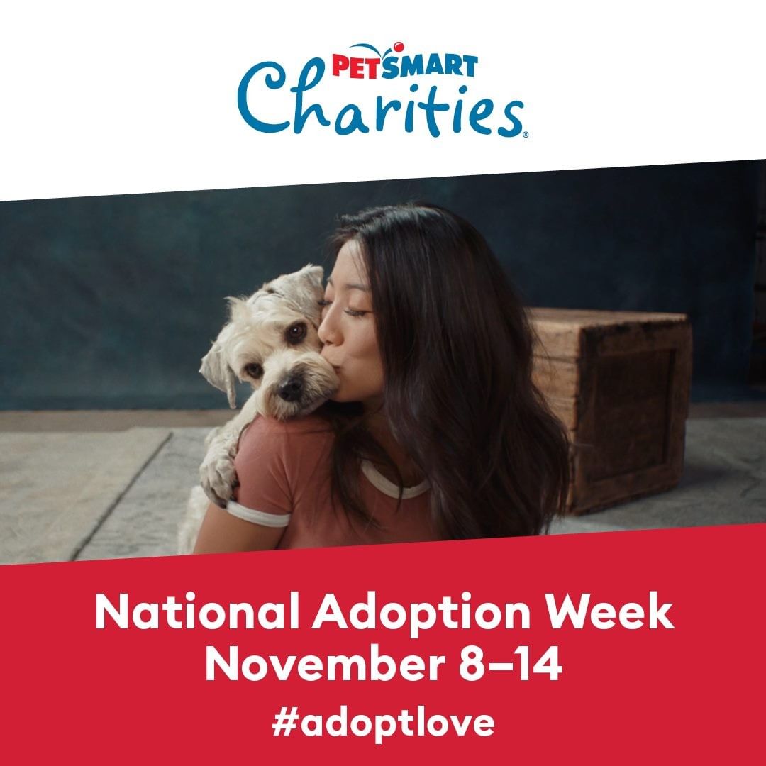 There is no better time to adopt a pet than ahead of the season of giving. 

WHAT: Halifax Humane Society is proud to partner with PetSmart Charities® to bring adoptable pets to 1 PetSmart locations in support of National Adoption Week, taking place November 8 - 14, 2021.

As part of the in-store event Halifax Humane Society invites potential pet owners to attend and meet adoptable pets in their area. People will be given opportunities to spend time with animals in need of loving homes to make connections, learn about their care and also explore the types of products and services they’ll need as pet parents going forward. To view all available pets for adoption, please visit Halifax Humane Society at www.halifaxhumanesociety.org

WHAT: Halifax Humane Society is proud to partner with PetSmart Charities® to bring adoptable pets to 1 PetSmart location in support of National Adoption Week, taking place November 12 - 13, 2021, from 11 am to 4 pm, at the PetSmart location at 1900 International Speedway Blvd., Daytona Beach, FL.

As part of the in-store event, Halifax Humane Society invites potential pet owners to attend and meet adoptable pets in their area. People will be given opportunities to spend time with animals in need of loving homes to make connections, learn about their care and also explore the types of products and services they’ll need as pet parents going forward. To view all available pets for adoption, please visit Halifax Humane Society at www.halifaxhumanesociety.org

Facebook: @petsmartcharities
Instagram: @petsmartcharities
Twitter: @petsmartchariTs