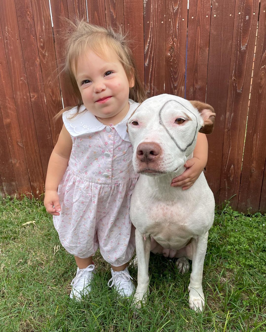 🎃Happy Halloween from Darla and Petey!!!!🎃 

We couldn’t pass up this perfect opportunity….. Waffle and her bff made the cutest costume pair this Halloween😍