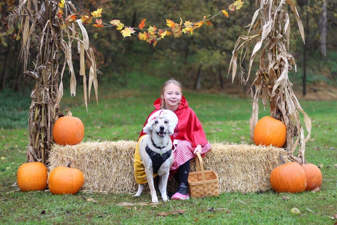 We want to thank everyone that came out to participate at our 1st annual Howl-O-Ween Wooftacular 2021 event! Without you all, HSHC wouldn’t be what it is today. We as a community should be beyond proud! 

It was awesome seeing some of our alum! Everyone was so kind, the vendors were awesome, had amazing food, it was a great event. Hopefully next year we can gather even more folks in the community to come join the festivities. 

Congratulations to Shae for winning both the pumpkin pie eating contest and the ghost poop hunt, Heidi for winning 1st place in our costume contest as “the big bad wolf”, and Embo for winning runner up in the costume contest as “Rambo”! 

Big thank you to The Lunchbox Food Truck, Drifter Doughnuts, Mountain Hound Pet Waste Removal, and Pawsitively Delish WV for joining us! As well as the juniorettes from Bridgeport Middle and the Junior Humane Society club from Robert C. Byrd for helping make the event go so smoothly. You all are sweet as pumpkin pie!
<a target='_blank' href='https://www.instagram.com/explore/tags/hshcwv/'>#hshcwv</a>