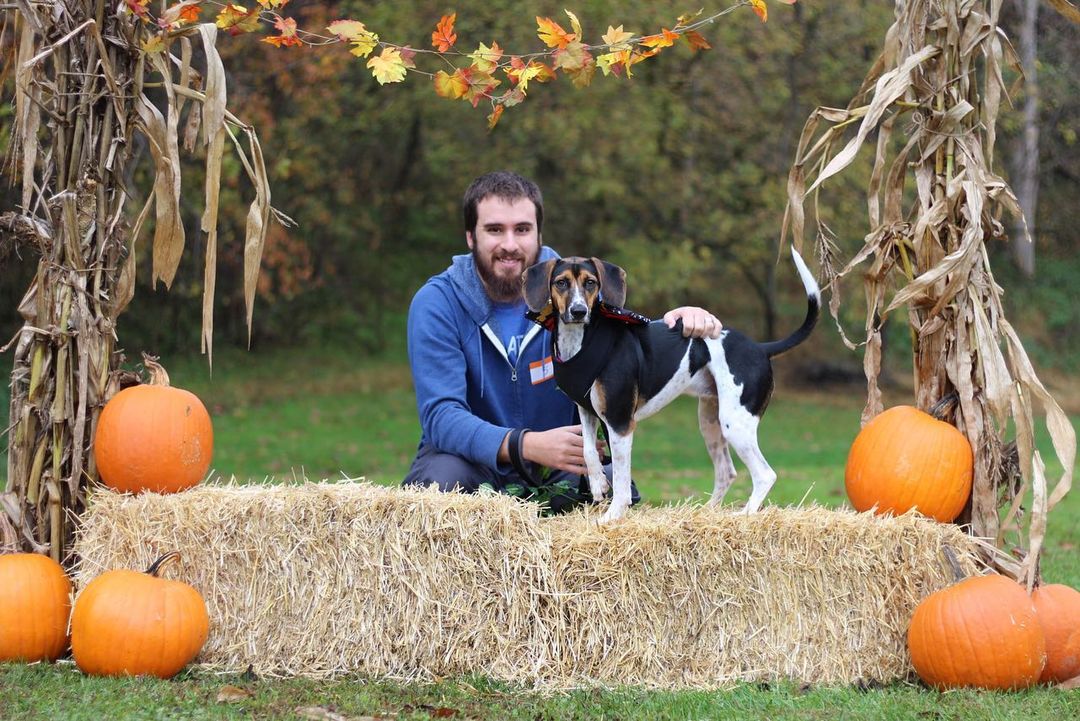 We want to thank everyone that came out to participate at our 1st annual Howl-O-Ween Wooftacular 2021 event! Without you all, HSHC wouldn’t be what it is today. We as a community should be beyond proud! 

It was awesome seeing some of our alum! Everyone was so kind, the vendors were awesome, had amazing food, it was a great event. Hopefully next year we can gather even more folks in the community to come join the festivities. 

Congratulations to Shae for winning both the pumpkin pie eating contest and the ghost poop hunt, Heidi for winning 1st place in our costume contest as “the big bad wolf”, and Embo for winning runner up in the costume contest as “Rambo”! 

Big thank you to The Lunchbox Food Truck, Drifter Doughnuts, Mountain Hound Pet Waste Removal, and Pawsitively Delish WV for joining us! As well as the juniorettes from Bridgeport Middle and the Junior Humane Society club from Robert C. Byrd for helping make the event go so smoothly. You all are sweet as pumpkin pie!
<a target='_blank' href='https://www.instagram.com/explore/tags/hshcwv/'>#hshcwv</a>