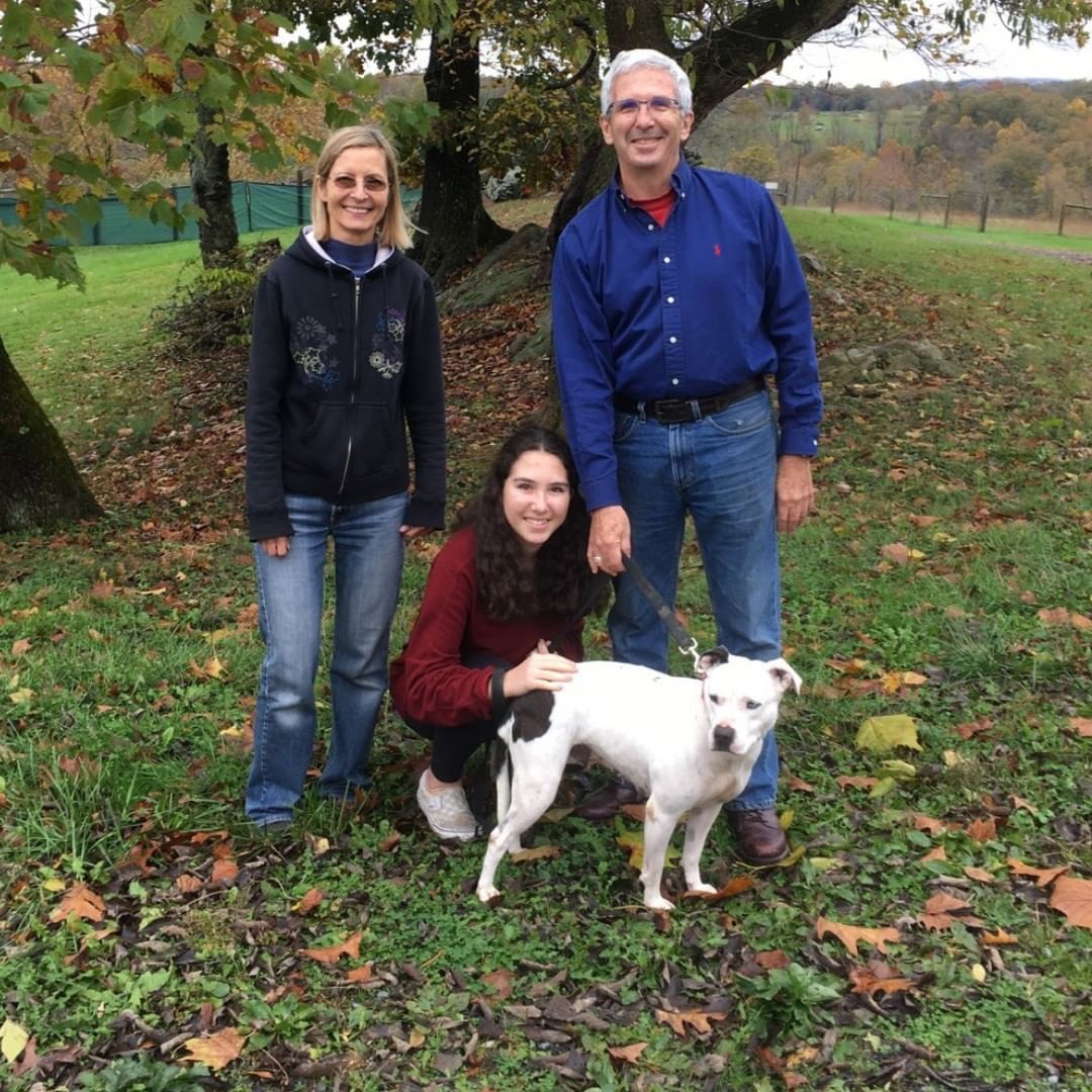 Happy Halloween and Happy Tales to Willow and her new family! 🎃❤️

Willow was officially adopted to her forever home with Michael, Julie, and Olivia! 🐶💚🏡

We're so happy and wish your family all the best with your new special companion right by your side! 🐾

<a target='_blank' href='https://www.instagram.com/explore/tags/LiveYourBestLife/'>#LiveYourBestLife</a> <a target='_blank' href='https://www.instagram.com/explore/tags/HappyHalloween/'>#HappyHalloween</a> <a target='_blank' href='https://www.instagram.com/explore/tags/HappyTales/'>#HappyTales</a> <a target='_blank' href='https://www.instagram.com/explore/tags/TheirVoiceRescue/'>#TheirVoiceRescue</a> <a target='_blank' href='https://www.instagram.com/explore/tags/Adopted/'>#Adopted</a> <a target='_blank' href='https://www.instagram.com/explore/tags/AnimalRescue/'>#AnimalRescue</a>