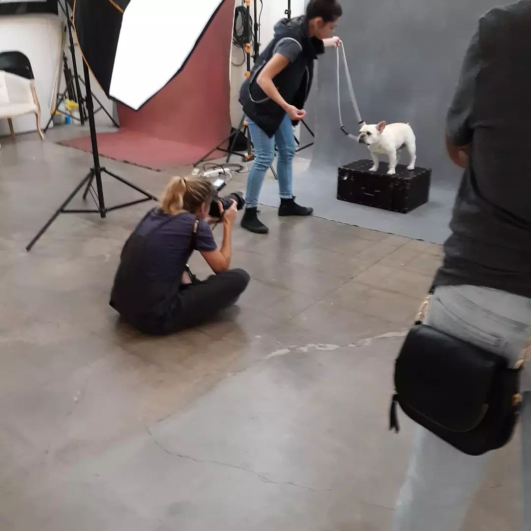 So many cuties.  Do you have pictures of your new Rescue pups?  Our next Pawtrait Party will be in the spring 2022. Thank you to the great @greatbearmedia who makes this happen and captures THE personalities of your dog.  <a target='_blank' href='https://www.instagram.com/explore/tags/mutts/'>#mutts</a> <a target='_blank' href='https://www.instagram.com/explore/tags/dogsofinstagram/'>#dogsofinstagram</a> <a target='_blank' href='https://www.instagram.com/explore/tags/animalrescue/'>#animalrescue</a> <a target='_blank' href='https://www.instagram.com/explore/tags/rescuedismyfavoritebreed/'>#rescuedismyfavoritebreed</a> <a target='_blank' href='https://www.instagram.com/explore/tags/adoptdontshop/'>#adoptdontshop</a>