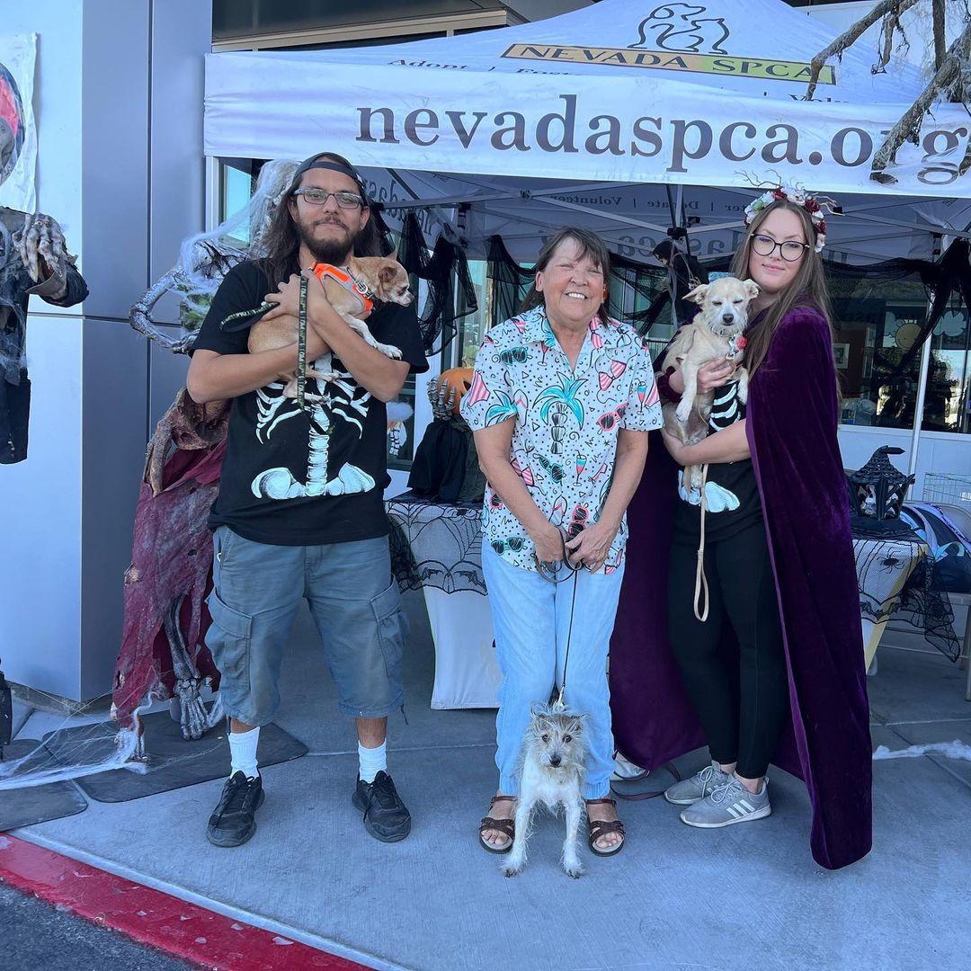 No bones about it! Our ‘skeleton crew’ had such a ghoulishly good time during Findlay Subaru of Las Vegas’s 2nd Annual Halloween Hounds trunk-or-treat and adoption event! 💀 🎃 👻⁣ 🦴 ☠️⁣
⁣⁣
Blair, Bubba, and Bugsy all found their loving forever homes yesterday! 🙌 🐾⁣⁣
⁣⁣
Thank you @subaru_lv @samandashlaw and @raisingcanes! ⁣⁣
•⁣⁣
•⁣⁣
•⁣⁣
<a target='_blank' href='https://www.instagram.com/explore/tags/findhappiness/'>#findhappiness</a> <a target='_blank' href='https://www.instagram.com/explore/tags/opttoadopt/'>#opttoadopt</a> <a target='_blank' href='https://www.instagram.com/explore/tags/halloween/'>#halloween</a> <a target='_blank' href='https://www.instagram.com/explore/tags/subarulovespets/'>#subarulovespets</a> <a target='_blank' href='https://www.instagram.com/explore/tags/trunkortreat/'>#trunkortreat</a> <a target='_blank' href='https://www.instagram.com/explore/tags/opttoadopt/'>#opttoadopt</a> <a target='_blank' href='https://www.instagram.com/explore/tags/shelterdog/'>#shelterdog</a> <a target='_blank' href='https://www.instagram.com/explore/tags/shelterdogsofinstagram/'>#shelterdogsofinstagram</a> <a target='_blank' href='https://www.instagram.com/explore/tags/adoptashelterdog/'>#adoptashelterdog</a> <a target='_blank' href='https://www.instagram.com/explore/tags/adoptdontshop/'>#adoptdontshop</a> <a target='_blank' href='https://www.instagram.com/explore/tags/lasvegas/'>#lasvegas</a> <a target='_blank' href='https://www.instagram.com/explore/tags/vegas/'>#vegas</a> <a target='_blank' href='https://www.instagram.com/explore/tags/spca/'>#spca</a> <a target='_blank' href='https://www.instagram.com/explore/tags/nevadaspca/'>#nevadaspca</a>