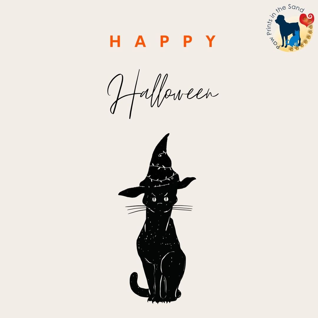 Have a fun, safe Halloween night! Remember: No candy for pets! 👻🎃🦇