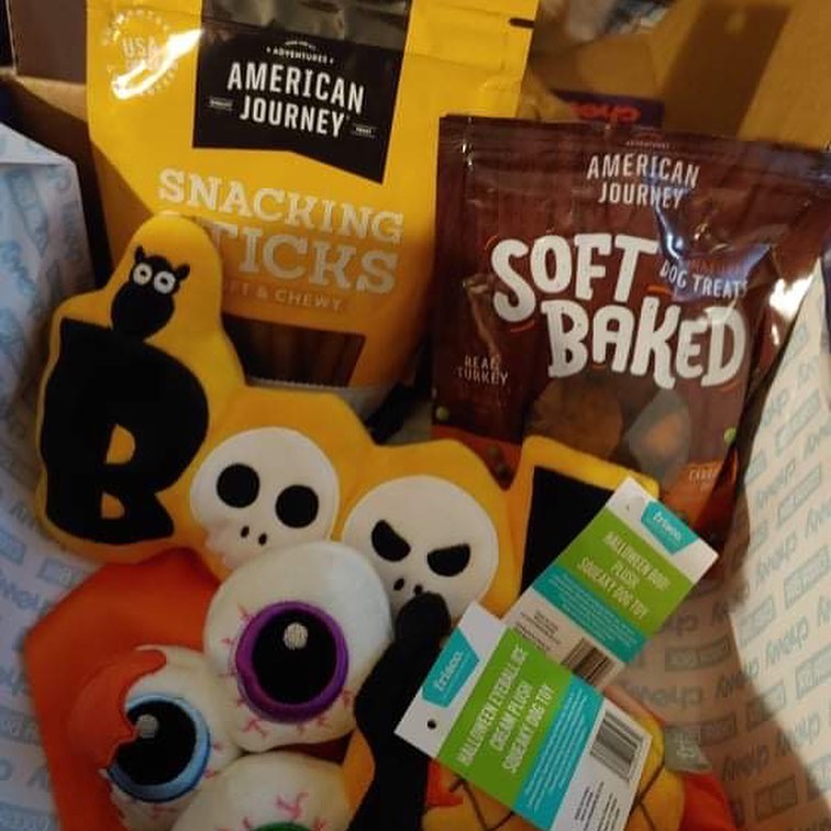 Can we open it already mom?!? 🤣

Jimmy Dean and Dudley, the crime fighting dachshund duo BATDOG and Robin got their wildcard prize this morning from @chewy just in time for Halloween!!! 👻🎃🐶

Enjoy boys! 
<a target='_blank' href='https://www.instagram.com/explore/tags/goodwill/'>#goodwill</a> <a target='_blank' href='https://www.instagram.com/explore/tags/wholesome/'>#wholesome</a> <a target='_blank' href='https://www.instagram.com/explore/tags/happyhalloweenie/'>#happyhalloweenie</a> <a target='_blank' href='https://www.instagram.com/explore/tags/gonetothedogs/'>#gonetothedogs</a> <a target='_blank' href='https://www.instagram.com/explore/tags/dachshundrescue/'>#dachshundrescue</a> <a target='_blank' href='https://www.instagram.com/explore/tags/adoptdontshop/'>#adoptdontshop</a> <a target='_blank' href='https://www.instagram.com/explore/tags/foragoodcause/'>#foragoodcause</a> <a target='_blank' href='https://www.instagram.com/explore/tags/blackandtandachshund/'>#blackandtandachshund</a> <a target='_blank' href='https://www.instagram.com/explore/tags/chewy/'>#chewy</a> <a target='_blank' href='https://www.instagram.com/explore/tags/doggybox/'>#doggybox</a> <a target='_blank' href='https://www.instagram.com/explore/tags/prizepac/'>#prizepac</a> <a target='_blank' href='https://www.instagram.com/explore/tags/brudders/'>#brudders</a> <a target='_blank' href='https://www.instagram.com/explore/tags/halloweenfundraiser/'>#halloweenfundraiser</a>