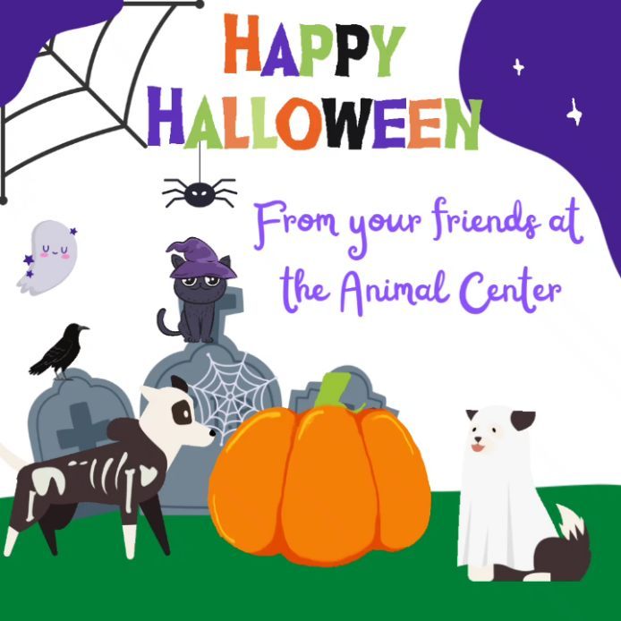 Happy Halloween from your friends at the Animal Center.  <a target='_blank' href='https://www.instagram.com/explore/tags/CreatingPAWsitiveImpact/'>#CreatingPAWsitiveImpact</a>