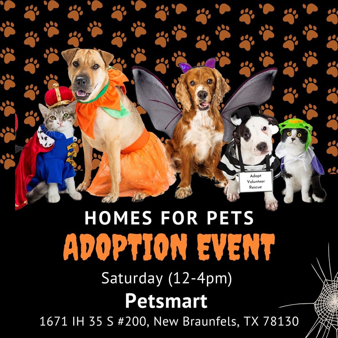 Don't forget that Saturday October 30th is our <a target='_blank' href='https://www.instagram.com/explore/tags/AdoptionEvent/'>#AdoptionEvent</a>! We have changed our location for our events to Petsmart in New Braunfels and will have Adoption Events every Saturday. <a target='_blank' href='https://www.instagram.com/explore/tags/adopt/'>#adopt</a> <a target='_blank' href='https://www.instagram.com/explore/tags/adoptme/'>#adoptme</a> <a target='_blank' href='https://www.instagram.com/explore/tags/petsmart/'>#petsmart</a> <a target='_blank' href='https://www.instagram.com/explore/tags/newbruanfelstx/'>#newbruanfelstx</a> <a target='_blank' href='https://www.instagram.com/explore/tags/adoptdontshop/'>#adoptdontshop</a> <a target='_blank' href='https://www.instagram.com/explore/tags/foster/'>#foster</a>