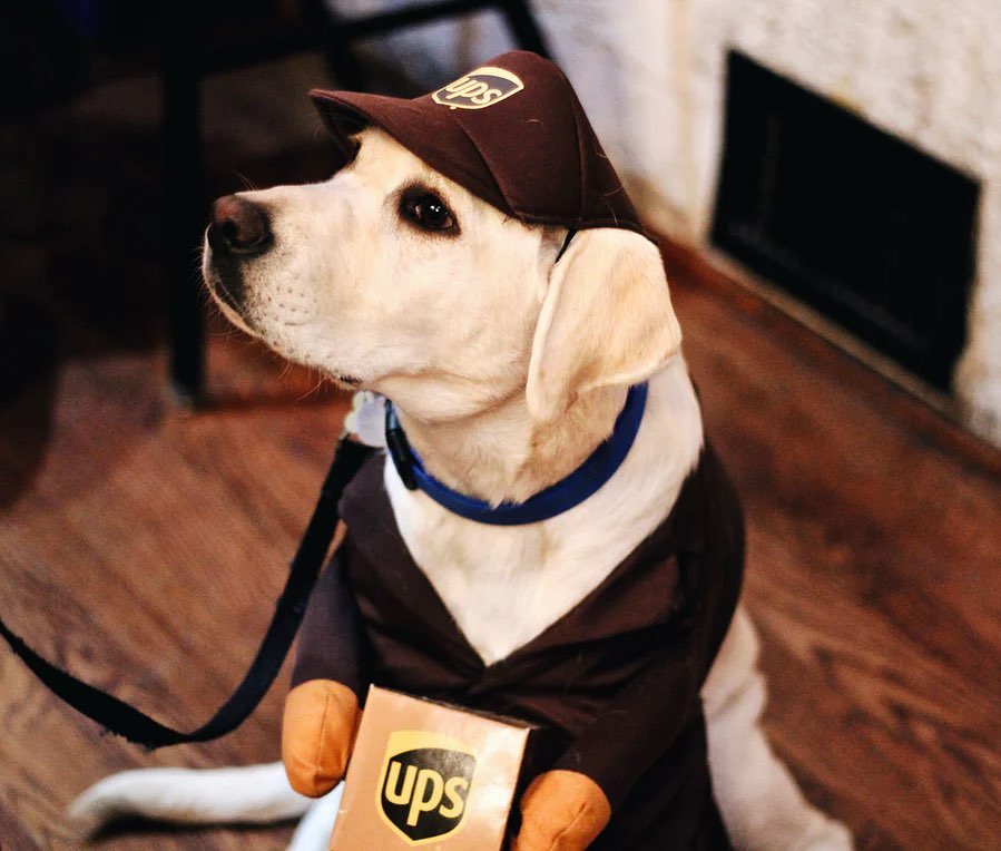 Happy Halloween!! 👻🎃 We hope to see you at @jackalopetaproom today for the Legendary Dog Costume Contest! Judging starts at 3:00pm. Steaming Goat Food Truck will be serving tasty sandwiches 12-5pm and King of Pops Nashville will have pops from 2-4pm. 

There will be awards in three categories:
1. Cutest Costume
2. Scariest Costume
3. Most Original Costume

There is an entry fee of a $5 donation to Agape. Sign up in advance at jackalopebrew.com/legendarydog 🐶