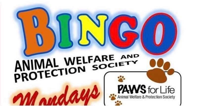 Join us this Monday (11/01)  for Bingo fun and a chance to win big money! We have $1000 last game and fun raffle prizes! Only $12.00 to play! <a target='_blank' href='https://www.instagram.com/explore/tags/bingo/'>#bingo</a> <a target='_blank' href='https://www.instagram.com/explore/tags/pawsforlifepueblo/'>#pawsforlifepueblo</a> 

Doors open at 10:30 am! 🐈 🐕 🐾