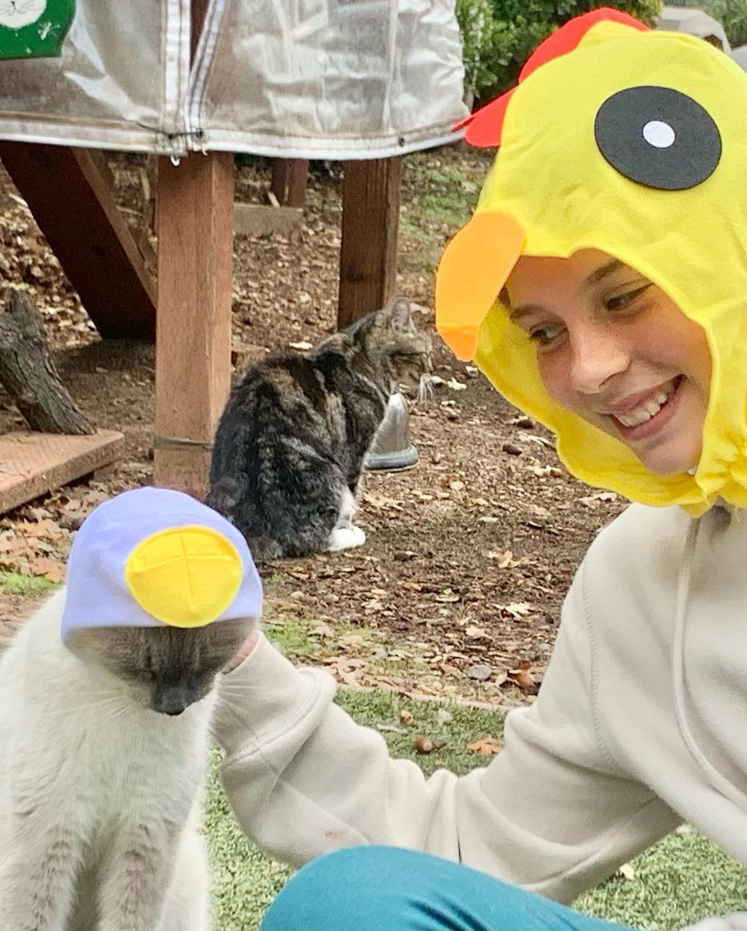Happy Halloween from kitties at Fat Kitty City Sanctuary! Hope you all had a safe day. We did and we are grateful for the snacks and love the kitties received on this lovely day… The cats were trick-or-treating for Temptations all day!
.
.
.
.
.
.
<a target='_blank' href='https://www.instagram.com/explore/tags/sanctuarylife/'>#sanctuarylife</a> <a target='_blank' href='https://www.instagram.com/explore/tags/rescuekitties/'>#rescuekitties</a> <a target='_blank' href='https://www.instagram.com/explore/tags/fatkittycity/'>#fatkittycity</a> <a target='_blank' href='https://www.instagram.com/explore/tags/fatkittycitysanctuary/'>#fatkittycitysanctuary</a> <a target='_blank' href='https://www.instagram.com/explore/tags/catworld/'>#catworld</a> <a target='_blank' href='https://www.instagram.com/explore/tags/rescuecats/'>#rescuecats</a> <a target='_blank' href='https://www.instagram.com/explore/tags/sanctuary/'>#sanctuary</a> <a target='_blank' href='https://www.instagram.com/explore/tags/catrescue/'>#catrescue</a> <a target='_blank' href='https://www.instagram.com/explore/tags/helpingcats/'>#helpingcats</a> <a target='_blank' href='https://www.instagram.com/explore/tags/eldoradohills/'>#eldoradohills</a> <a target='_blank' href='https://www.instagram.com/explore/tags/folsomca/'>#folsomca</a> <a target='_blank' href='https://www.instagram.com/explore/tags/lifesanctuary/'>#lifesanctuary</a> <a target='_blank' href='https://www.instagram.com/explore/tags/catadoptions/'>#catadoptions</a> <a target='_blank' href='https://www.instagram.com/explore/tags/rescuecatsofinstagram/'>#rescuecatsofinstagram</a> <a target='_blank' href='https://www.instagram.com/explore/tags/specialneedscats/'>#specialneedscats</a> <a target='_blank' href='https://www.instagram.com/explore/tags/cateyes/'>#cateyes</a> <a target='_blank' href='https://www.instagram.com/explore/tags/feralrescues/'>#feralrescues</a> <a target='_blank' href='https://www.instagram.com/explore/tags/nonprofitsanctuary/'>#nonprofitsanctuary</a> <a target='_blank' href='https://www.instagram.com/explore/tags/5freedoms/'>#5freedoms</a> <a target='_blank' href='https://www.instagram.com/explore/tags/catsincostumes/'>#catsincostumes</a> <a target='_blank' href='https://www.instagram.com/explore/tags/funnycats/'>#funnycats</a> <a target='_blank' href='https://www.instagram.com/explore/tags/halloweencostume/'>#halloweencostume</a> <a target='_blank' href='https://www.instagram.com/explore/tags/halloween2021/'>#halloween2021</a>