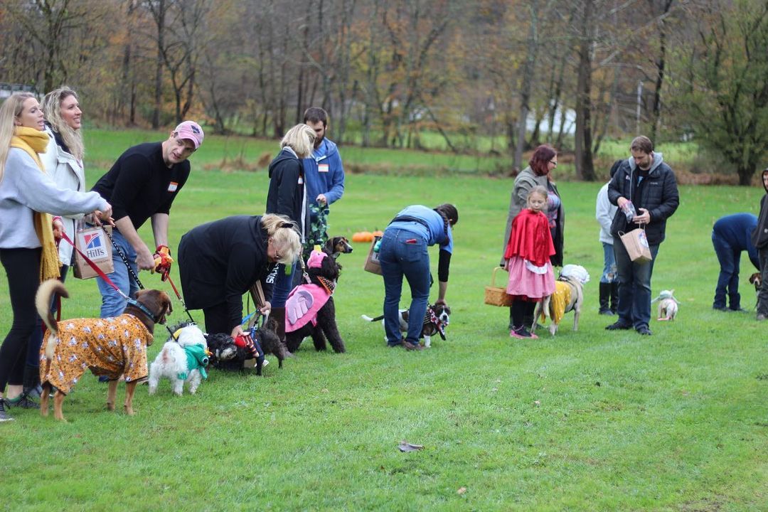 We want to thank everyone that came out to participate at our 1st annual Howl-O-Ween Wooftacular 2021 event! Without you all, HSHC wouldn’t be what it is today. We as a community should be beyond proud! 

It was awesome seeing some of our alum! Everyone was so kind, the vendors were awesome, had amazing food, it was a great event. Hopefully next year we can gather even more folks in the community to come join the festivities. 

Congratulations to Shae for winning both the pumpkin pie eating contest and the ghost poop hunt, Heidi for winning 1st place in our costume contest as “the big bad wolf”, and Embo for winning runner up in the costume contest as “Rambo”! 

Big thank you to The Lunchbox Food Truck, Drifter Doughnuts, Mountain Hound Pet Waste Removal, and Pawsitively Delish WV for joining us! As well as the juniorettes from Bridgeport Middle and the Junior Humane Society club from Robert C. Byrd for helping make the event go so smoothly. You all are sweet as pumpkin pie!
<a target='_blank' href='https://www.instagram.com/explore/tags/hshcwv/'>#hshcwv</a>
