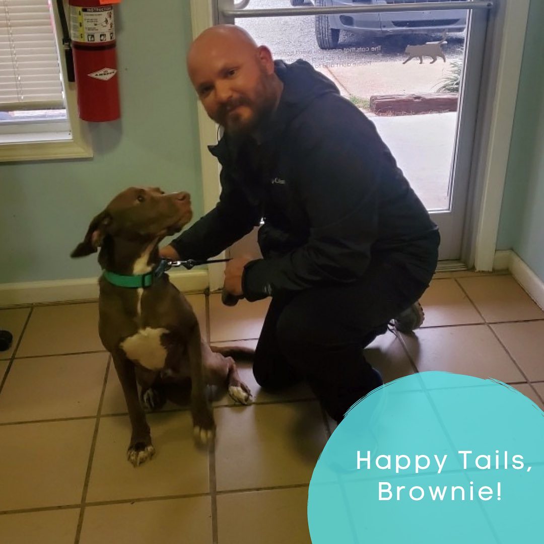 👑🐾<a target='_blank' href='https://www.instagram.com/explore/tags/FurreverHome/'>#FurreverHome</a>🐾👑

When we say fostering saves lives, we totally mean it from the bottom of our heart! Sweet Brownie came to us in August of 2020 in poor shape (weighing only 33lbs!) and in need of a lot of TLC to help him come out of his shell and adjust to the life of a spoiled, pampered pup! Thanks to his foster Katie (and a few other amazing fosters before her), Brownie has developed into an amazing, healthy boy and, today, Brownie found his furrever home! This was truly a match worth waiting for — Brownie and Aaron were truly meant to be! We cannot wait to see how this handsome guy continues to grow and the adventures these two will share! 

🌟Happy Tails, Brownie!🌟

We’re always so excited to announce newly minted <a target='_blank' href='https://www.instagram.com/explore/tags/OCHSAlumni/'>#OCHSAlumni</a> and to be a part of helping them find their furrever homes! Are you ready to find your new best friend? Or maybe you want to foster a pup like Brownie? Come see us at the shelter or check us out online! 

💌: shelter@ochsms.org
☎️: 662-338-9093
🖥: www.ochsms.org/adopt

<a target='_blank' href='https://www.instagram.com/explore/tags/sheleterdogs/'>#sheleterdogs</a> <a target='_blank' href='https://www.instagram.com/explore/tags/dogsofinstagram/'>#dogsofinstagram</a> <a target='_blank' href='https://www.instagram.com/explore/tags/rescuedogs/'>#rescuedogs</a> <a target='_blank' href='https://www.instagram.com/explore/tags/adoptashelterdog/'>#adoptashelterdog</a> <a target='_blank' href='https://www.instagram.com/explore/tags/ochs/'>#ochs</a> <a target='_blank' href='https://www.instagram.com/explore/tags/adoptdontshop/'>#adoptdontshop</a> <a target='_blank' href='https://www.instagram.com/explore/tags/animalrescue/'>#animalrescue</a> <a target='_blank' href='https://www.instagram.com/explore/tags/spayandneuter/'>#spayandneuter</a> <a target='_blank' href='https://www.instagram.com/explore/tags/adoptables/'>#adoptables</a> <a target='_blank' href='https://www.instagram.com/explore/tags/humanesociety/'>#humanesociety</a> <a target='_blank' href='https://www.instagram.com/explore/tags/animalwelfare/'>#animalwelfare</a> <a target='_blank' href='https://www.instagram.com/explore/tags/whywerescue/'>#whywerescue</a> <a target='_blank' href='https://www.instagram.com/explore/tags/adoptezmoi/'>#adoptezmoi</a> <a target='_blank' href='https://www.instagram.com/explore/tags/adoptme/'>#adoptme</a> <a target='_blank' href='https://www.instagram.com/explore/tags/starkvillems/'>#starkvillems</a> <a target='_blank' href='https://www.instagram.com/explore/tags/mspets/'>#mspets</a> <a target='_blank' href='https://www.instagram.com/explore/tags/petsofinstagram/'>#petsofinstagram</a> <a target='_blank' href='https://www.instagram.com/explore/tags/rescuelove/'>#rescuelove</a>