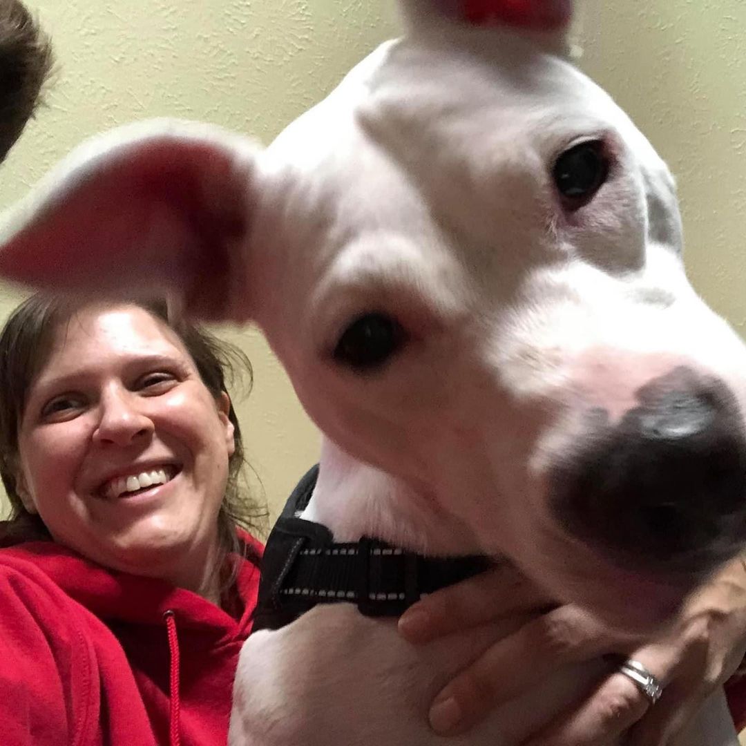 Adopted! 👏

Thank you Rachael @rachael.gorsuch for taking Sage on her meet & greet to find the perfect family!

Sage is deaf and needed a knowledgeable owner.  Luckily for her, the perfect application came in!

Congratulations, Sage!! 

<a target='_blank' href='https://www.instagram.com/explore/tags/happytalesofhappytails/'>#happytalesofhappytails</a> <a target='_blank' href='https://www.instagram.com/explore/tags/adopteddogsofinstagram/'>#adopteddogsofinstagram</a> <a target='_blank' href='https://www.instagram.com/explore/tags/rescuedog/'>#rescuedog</a> <a target='_blank' href='https://www.instagram.com/explore/tags/adoptdontshop/'>#adoptdontshop</a> <a target='_blank' href='https://www.instagram.com/explore/tags/rescuedismyfavoritebreed/'>#rescuedismyfavoritebreed</a> <a target='_blank' href='https://www.instagram.com/explore/tags/ricopetrecovery/'>#ricopetrecovery</a> <a target='_blank' href='https://www.instagram.com/explore/tags/werescue/'>#werescue</a>