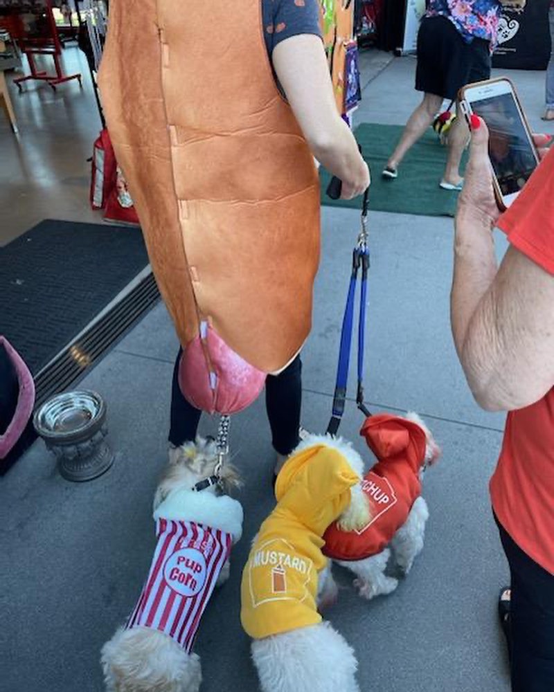 That 🌭 is none other than BRB Foster Fail @vieveland with her beautiful pack of senior girls… Samantha, Kiwi and April (ketchup, popcorn and mustard ). They were at @topdogbarkery HOWL’oween pawty 🎃🕸👻 @vieveland and Kiwi adopted bonded senior girls April and Samantha when their previous owner was no longer to keep them.  <a target='_blank' href='https://www.instagram.com/explore/tags/fosterfail/'>#fosterfail</a><a target='_blank' href='https://www.instagram.com/explore/tags/fosteringsaveslives/'>#fosteringsaveslives</a><a target='_blank' href='https://www.instagram.com/explore/tags/makeadifference/'>#makeadifference</a><a target='_blank' href='https://www.instagram.com/explore/tags/seniordogsofinstagram/'>#seniordogsofinstagram</a><a target='_blank' href='https://www.instagram.com/explore/tags/dailyfluff/'>#dailyfluff</a> <a target='_blank' href='https://www.instagram.com/explore/tags/halloween/'>#halloween</a><a target='_blank' href='https://www.instagram.com/explore/tags/adopt/'>#adopt</a><a target='_blank' href='https://www.instagram.com/explore/tags/rescuedogs/'>#rescuedogs</a>