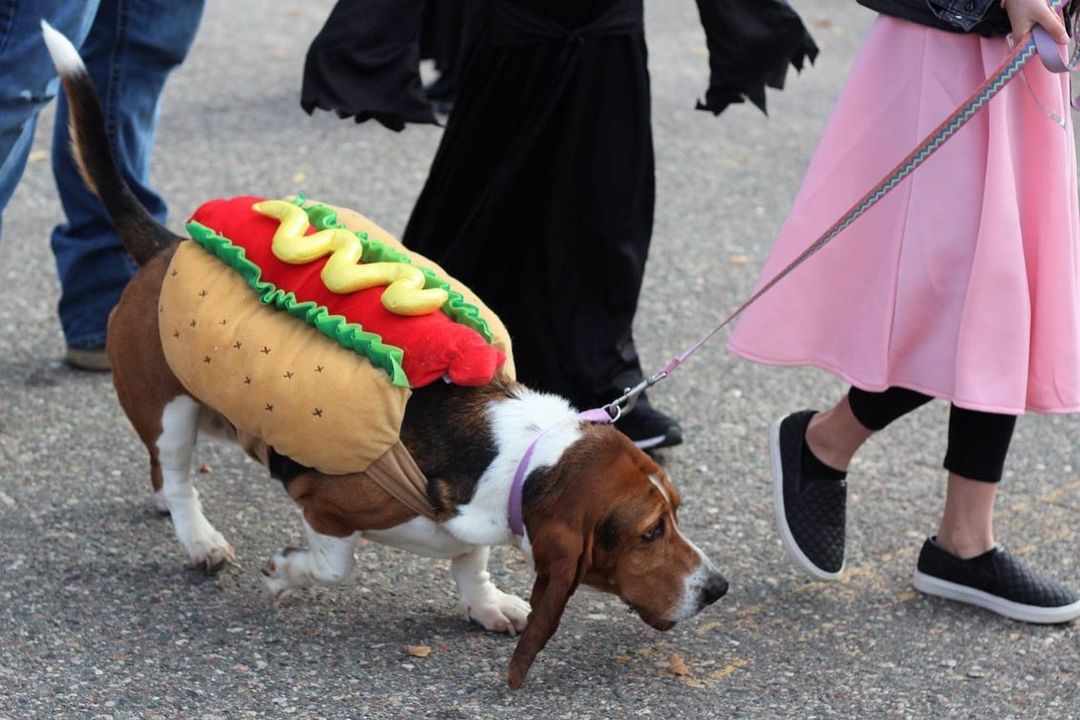 Thanks to all who cam out for Trunk or Treat and the Pet Parade at The Woods!