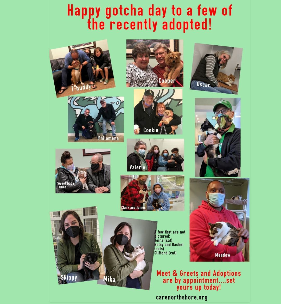 Just a few of our recent adoptions.  There was a total of 40 adoptions in the month of October.

<a target='_blank' href='https://www.instagram.com/explore/tags/adoptersrock/'>#adoptersrock</a> <a target='_blank' href='https://www.instagram.com/explore/tags/happygotchaday/'>#happygotchaday</a>