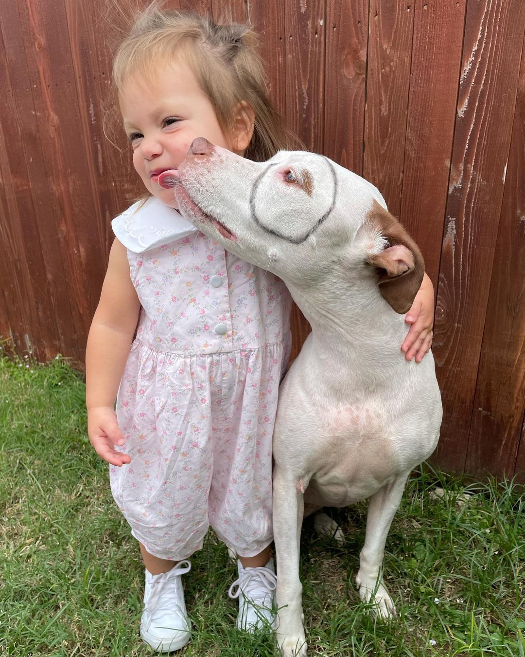 🎃Happy Halloween from Darla and Petey!!!!🎃 

We couldn’t pass up this perfect opportunity….. Waffle and her bff made the cutest costume pair this Halloween😍