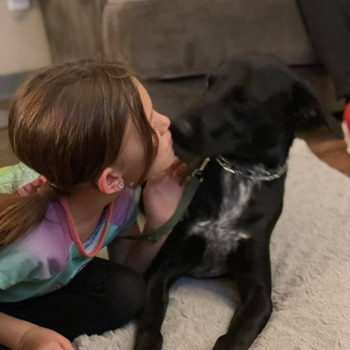 👅Tongue out Tuesday alert!! And boy do we have the sweetest boy to introduce!! 😍 Drake is a young Catahoula/Lab mix that we rescued from the Greenville Animal Shelter. Like every other dog, we have rescued from there he is the best! He LOVES kids and is so sweet with his new foster human sibling, even giving her sweet doggy kisses. He is a super smart boy and eager to please and will make a great family dog. Please reach out if that family is you! <a target='_blank' href='https://www.instagram.com/explore/tags/LAPdog/'>#LAPdog</a> <a target='_blank' href='https://www.instagram.com/explore/tags/ToungueOutTuesday/'>#ToungueOutTuesday</a> <a target='_blank' href='https://www.instagram.com/explore/tags/SweetBoy/'>#SweetBoy</a> <a target='_blank' href='https://www.instagram.com/explore/tags/AdoptDrake/'>#AdoptDrake</a> <a target='_blank' href='https://www.instagram.com/explore/tags/FamilyDog/'>#FamilyDog</a> <a target='_blank' href='https://www.instagram.com/explore/tags/PerfectPuppy/'>#PerfectPuppy</a> 

Adopt this sweet boy here! 👇
https://www.laprescue.org/adoption-app-.html