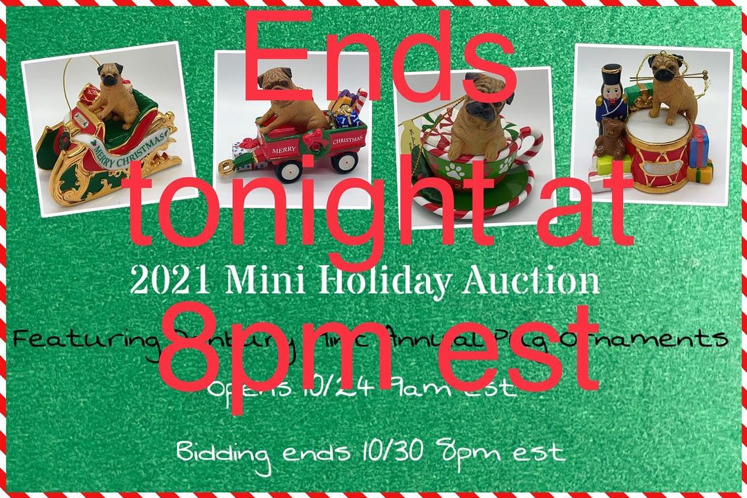 Our mini Holiday Auction ends tonight at 8pm EST. Features Danbury Mint holiday ornaments and some other fun items! Do it for the pugs!
<a target='_blank' href='https://www.instagram.com/explore/tags/auctionforpugrescue/'>#auctionforpugrescue</a> <a target='_blank' href='https://www.instagram.com/explore/tags/pugswag/'>#pugswag</a> <a target='_blank' href='https://www.instagram.com/explore/tags/holidaypug/'>#holidaypug</a> <a target='_blank' href='https://www.instagram.com/explore/tags/pugrescueofnewengland/'>#pugrescueofnewengland</a>