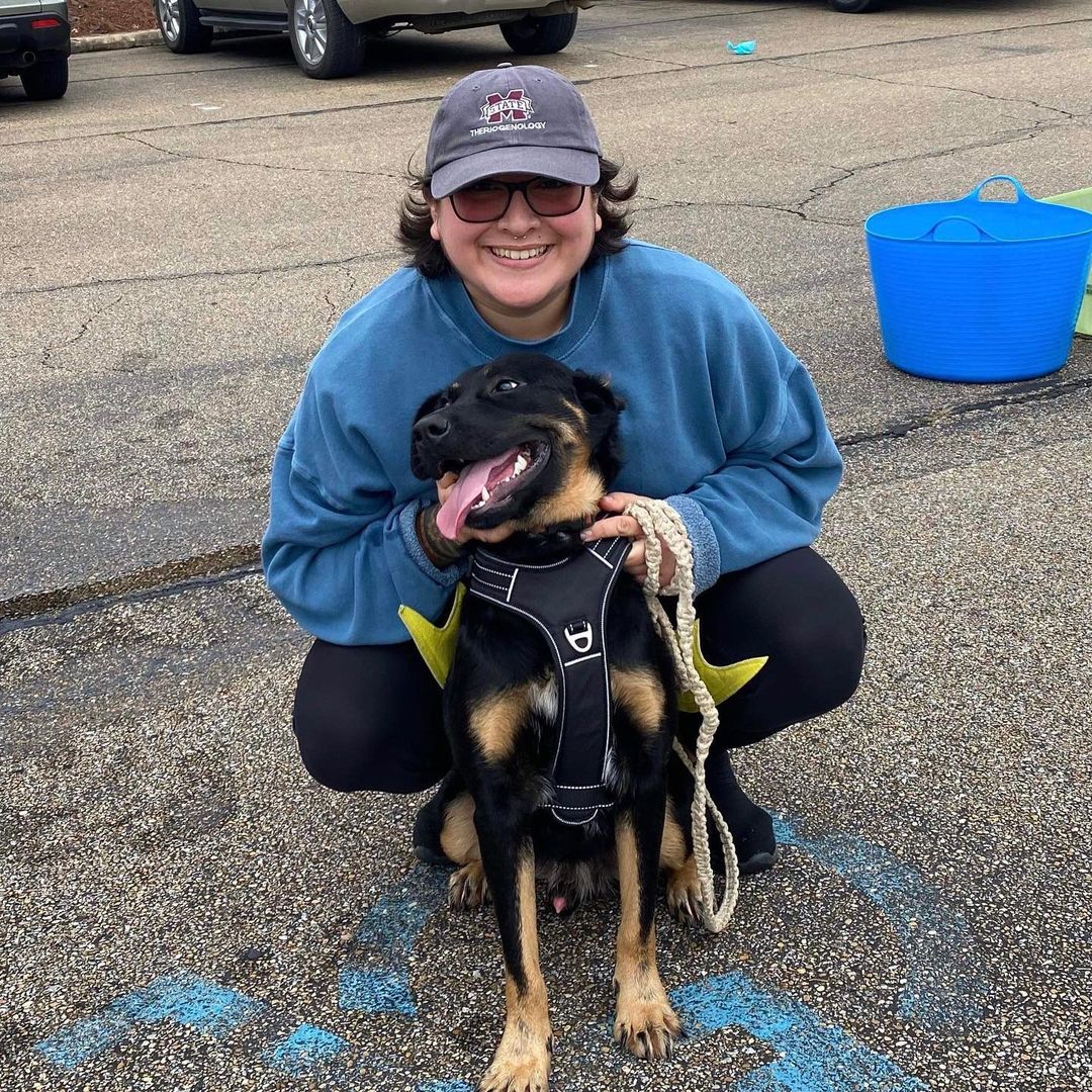 👻🎃HAPPY HALLOWEEN🎃👻

The OCHS Staff, Volunteers, Friends, and Residents want to wish everyone a safe, spooky, spectacular, and happy Halloween! 

Pictured below is one of our residents, Choctaw, who participated in the Vet School’s Halloween 5K yesterday! This run, sponsored by @hillspet , supported MSU Vet School’s Homeward Bound program! This program, much like the <a target='_blank' href='https://www.instagram.com/explore/tags/OCHSExpress/'>#OCHSExpress</a>, helps move dogs from MS to other regions of the country to help them find safe, happy, furrever homes! We’re so happy to offer our support such a wonderful program and thankful that some of our pups were able to get out of the shelter and stretch their legs for such a good cause! 

* For more on MSState VetMed Homeward Bound, see: https://www.vetmed.msstate.edu/outreach/community-engagement/service/homeward-bound
* For more on the OCHS Express, see: www.ochsms.org 

<a target='_blank' href='https://www.instagram.com/explore/tags/begooddogood/'>#begooddogood</a> <a target='_blank' href='https://www.instagram.com/explore/tags/homewardboundms/'>#homewardboundms</a> <a target='_blank' href='https://www.instagram.com/explore/tags/vetmed/'>#vetmed</a> <a target='_blank' href='https://www.instagram.com/explore/tags/vetrinarymedicine/'>#vetrinarymedicine</a> <a target='_blank' href='https://www.instagram.com/explore/tags/outreach/'>#outreach</a> <a target='_blank' href='https://www.instagram.com/explore/tags/myfavoritebreedisrescued/'>#myfavoritebreedisrescued</a> <a target='_blank' href='https://www.instagram.com/explore/tags/sheleterdogs/'>#sheleterdogs</a> <a target='_blank' href='https://www.instagram.com/explore/tags/dogsofinstagram/'>#dogsofinstagram</a> <a target='_blank' href='https://www.instagram.com/explore/tags/rescuedogs/'>#rescuedogs</a> <a target='_blank' href='https://www.instagram.com/explore/tags/adoptashelterdog/'>#adoptashelterdog</a> <a target='_blank' href='https://www.instagram.com/explore/tags/ochs/'>#ochs</a> <a target='_blank' href='https://www.instagram.com/explore/tags/adoptdontshop/'>#adoptdontshop</a> <a target='_blank' href='https://www.instagram.com/explore/tags/animalrescue/'>#animalrescue</a> <a target='_blank' href='https://www.instagram.com/explore/tags/spayandneuter/'>#spayandneuter</a> <a target='_blank' href='https://www.instagram.com/explore/tags/adoptables/'>#adoptables</a> <a target='_blank' href='https://www.instagram.com/explore/tags/humanesociety/'>#humanesociety</a> <a target='_blank' href='https://www.instagram.com/explore/tags/animalwelfare/'>#animalwelfare</a> <a target='_blank' href='https://www.instagram.com/explore/tags/whywerescue/'>#whywerescue</a> <a target='_blank' href='https://www.instagram.com/explore/tags/adoptezmoi/'>#adoptezmoi</a> <a target='_blank' href='https://www.instagram.com/explore/tags/adoptme/'>#adoptme</a> <a target='_blank' href='https://www.instagram.com/explore/tags/starkvillems/'>#starkvillems</a> <a target='_blank' href='https://www.instagram.com/explore/tags/mspets/'>#mspets</a> <a target='_blank' href='https://www.instagram.com/explore/tags/petsofinstagram/'>#petsofinstagram</a> <a target='_blank' href='https://www.instagram.com/explore/tags/rescuelove/'>#rescuelove</a>