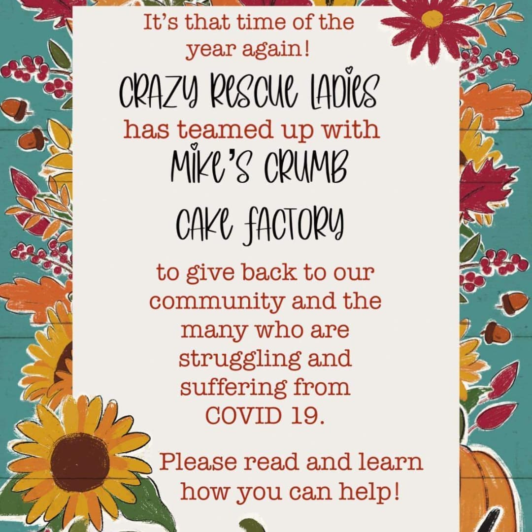 It's that time of year again! @Crazy Rescue Ladies Inc . has partnered with @ Mike's  Crumb Cake Factory  to give back to our community. There are so many families struggling and suffering from Covid 19 So Please join us in making a difference Please read post entirely! It's costs approximately $55 to put together a Thanksgiving box for a family's size of 4-6 OUR EVENT WILL RUN FROM NOV.1ST UNTIL NOV.24TH

<a target='_blank' href='https://www.instagram.com/explore/tags/1/'>#1</a> - u may put together ur own box & deliver it to me or drop off location(Mike's Crumb Cake Factory  Brick Location) This location  will also be a drop off location  if you would like to drop off any non perishable  goods or Gift Cards for a local food store, we all will be out  shopping  why not grab a couple extra items to help those in need

<a target='_blank' href='https://www.instagram.com/explore/tags/2/'>#2</a> - u may send me any amount u would like via Venmo @CrazyRescue-LadiesInc or Zelle  crazyrescueladiesinc@gmail.com  please put helping our community in notes every $55 will cover another box

<a target='_blank' href='https://www.instagram.com/explore/tags/3/'>#3</a> u may TAG any family who may be in need of a thanksgiving box or comment yourself if your family is in need

*I will put together as many boxes as funds allow. These are NOT Tax deductible as it is for personal and not rescue related things

Please SHARE & tag away! Let's supply as many families as possible this year!