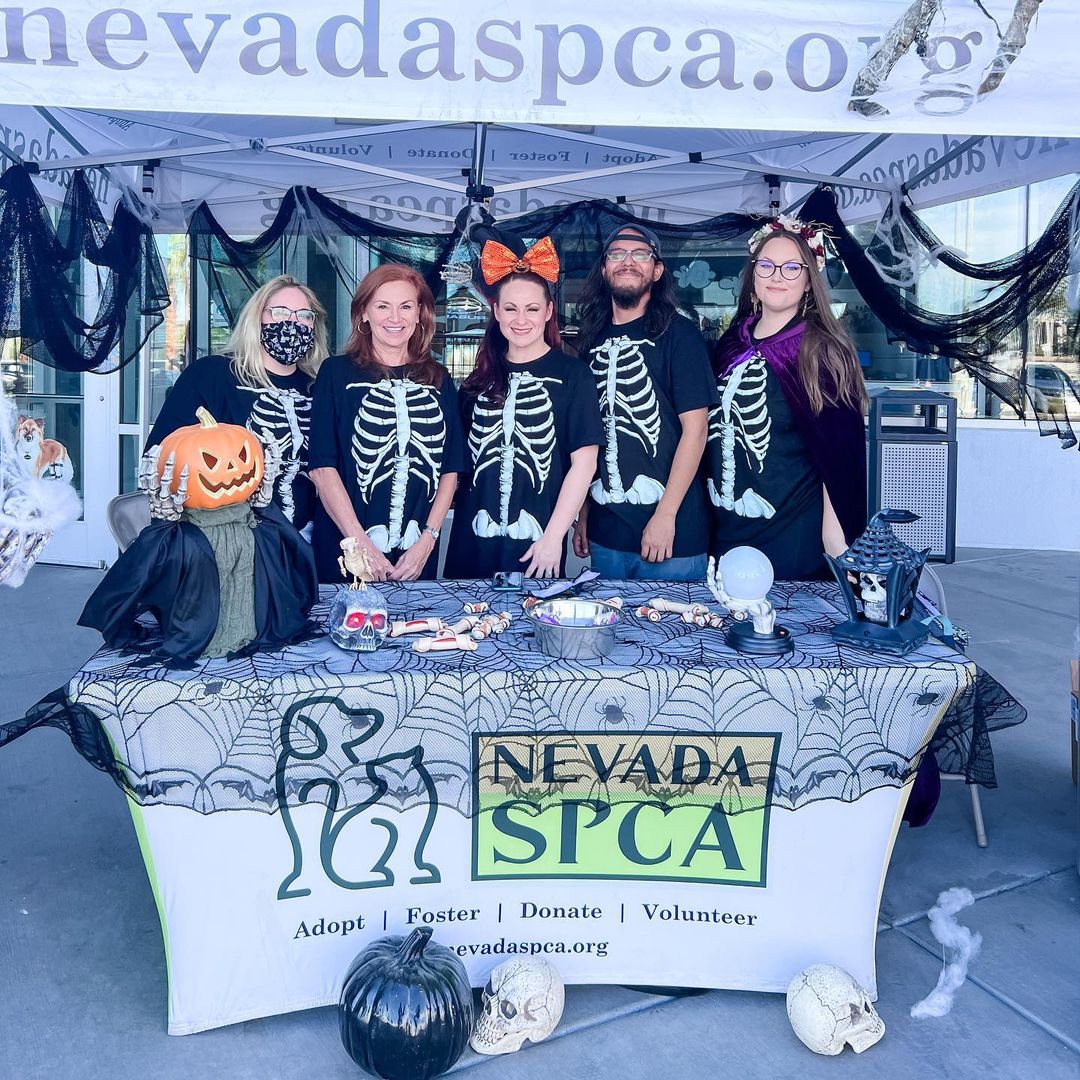 No bones about it! Our ‘skeleton crew’ had such a ghoulishly good time during Findlay Subaru of Las Vegas’s 2nd Annual Halloween Hounds trunk-or-treat and adoption event! 💀 🎃 👻⁣ 🦴 ☠️⁣
⁣⁣
Blair, Bubba, and Bugsy all found their loving forever homes yesterday! 🙌 🐾⁣⁣
⁣⁣
Thank you @subaru_lv @samandashlaw and @raisingcanes! ⁣⁣
•⁣⁣
•⁣⁣
•⁣⁣
<a target='_blank' href='https://www.instagram.com/explore/tags/findhappiness/'>#findhappiness</a> <a target='_blank' href='https://www.instagram.com/explore/tags/opttoadopt/'>#opttoadopt</a> <a target='_blank' href='https://www.instagram.com/explore/tags/halloween/'>#halloween</a> <a target='_blank' href='https://www.instagram.com/explore/tags/subarulovespets/'>#subarulovespets</a> <a target='_blank' href='https://www.instagram.com/explore/tags/trunkortreat/'>#trunkortreat</a> <a target='_blank' href='https://www.instagram.com/explore/tags/opttoadopt/'>#opttoadopt</a> <a target='_blank' href='https://www.instagram.com/explore/tags/shelterdog/'>#shelterdog</a> <a target='_blank' href='https://www.instagram.com/explore/tags/shelterdogsofinstagram/'>#shelterdogsofinstagram</a> <a target='_blank' href='https://www.instagram.com/explore/tags/adoptashelterdog/'>#adoptashelterdog</a> <a target='_blank' href='https://www.instagram.com/explore/tags/adoptdontshop/'>#adoptdontshop</a> <a target='_blank' href='https://www.instagram.com/explore/tags/lasvegas/'>#lasvegas</a> <a target='_blank' href='https://www.instagram.com/explore/tags/vegas/'>#vegas</a> <a target='_blank' href='https://www.instagram.com/explore/tags/spca/'>#spca</a> <a target='_blank' href='https://www.instagram.com/explore/tags/nevadaspca/'>#nevadaspca</a>