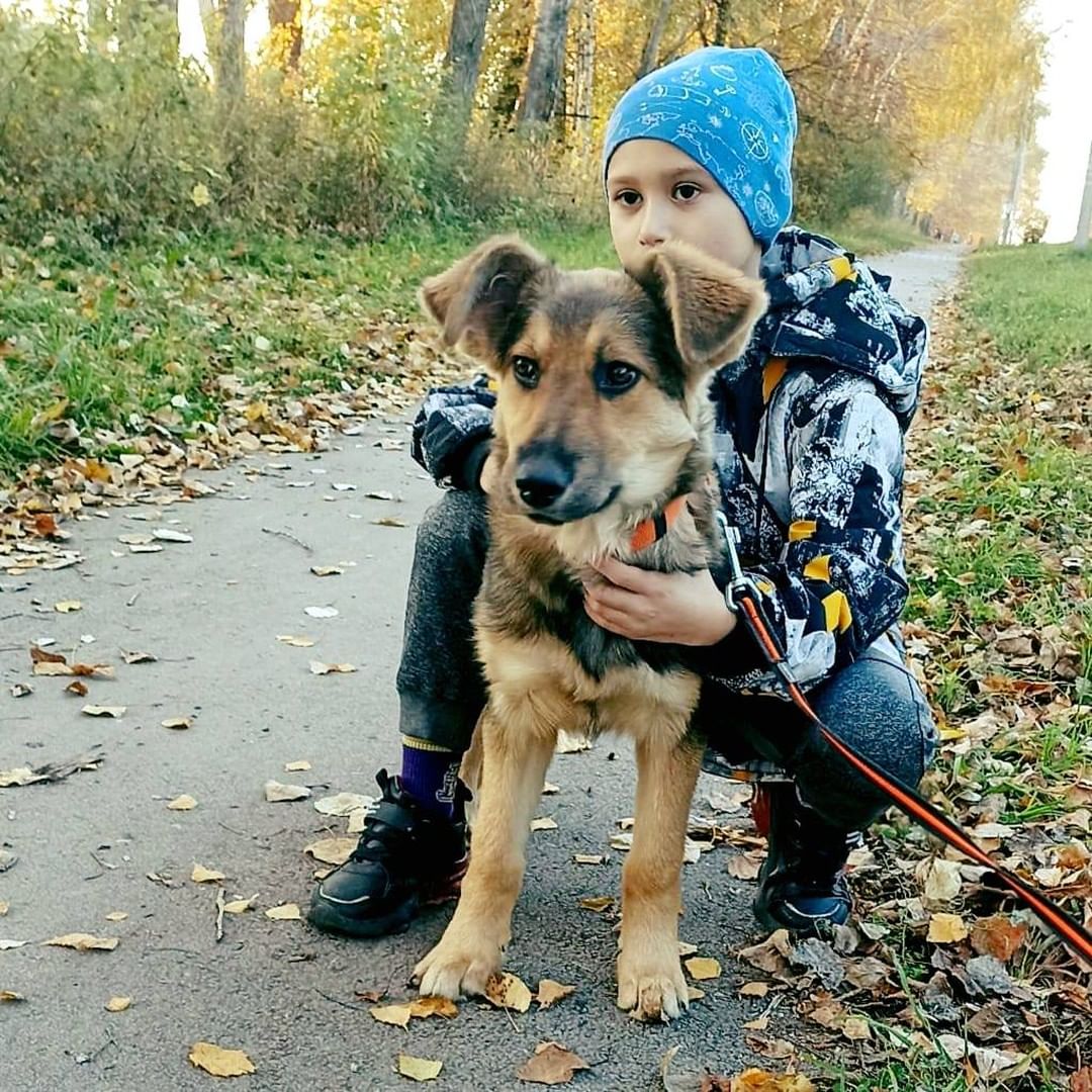 This is the story of one of the many voiceless dogs in a care of our rescue. 
We want you to know she was the lucky one. 

Surly she did not feel that. Linda is young and naive pup who saw nothing from people except punches and kicks. Thrown out like trash she just wanted to survive so the hunger and hope for kindness drew her back to humans. All she wanted was a small piece of food but people either burn her with cigarettes or threw stones at her from which she learned to dodge, often unsuccessfully. 
In her last attempt to ask for a piece of chicken she was stubbed with a knife. 
She is lucky precisely because of all this torture that happened in her short life. It was these wounds on her thin exhausted little body that drew attention to her and she was taken to the clinic, where it was warm, food was nourishing and people were kind so for the first time in her life she learned how it feels to be petted. 
Linda survived the streets, got well, and God willing, soon she will find a family, where she can never know pain, hunger and suffering
But how many of these - nondescript, hungry and dehydrated survive on the streets being invisible, just because they have not yet been stubbed, shot, hit by a car. ... this is a terrible and cruel world for the homeless and unwanted...

Linda wa lucky. We helped her and many others... but there are thousands of them. And it is in your power to save at least one of these ghost dogs, which do not have and cannot have a future without your support.

Please donate to help dogs like Linda.

Venmo: @biglittlelife
PayPal: contact@biglittliliferescue.org
Web: www.biglittleliferescue.org/donate