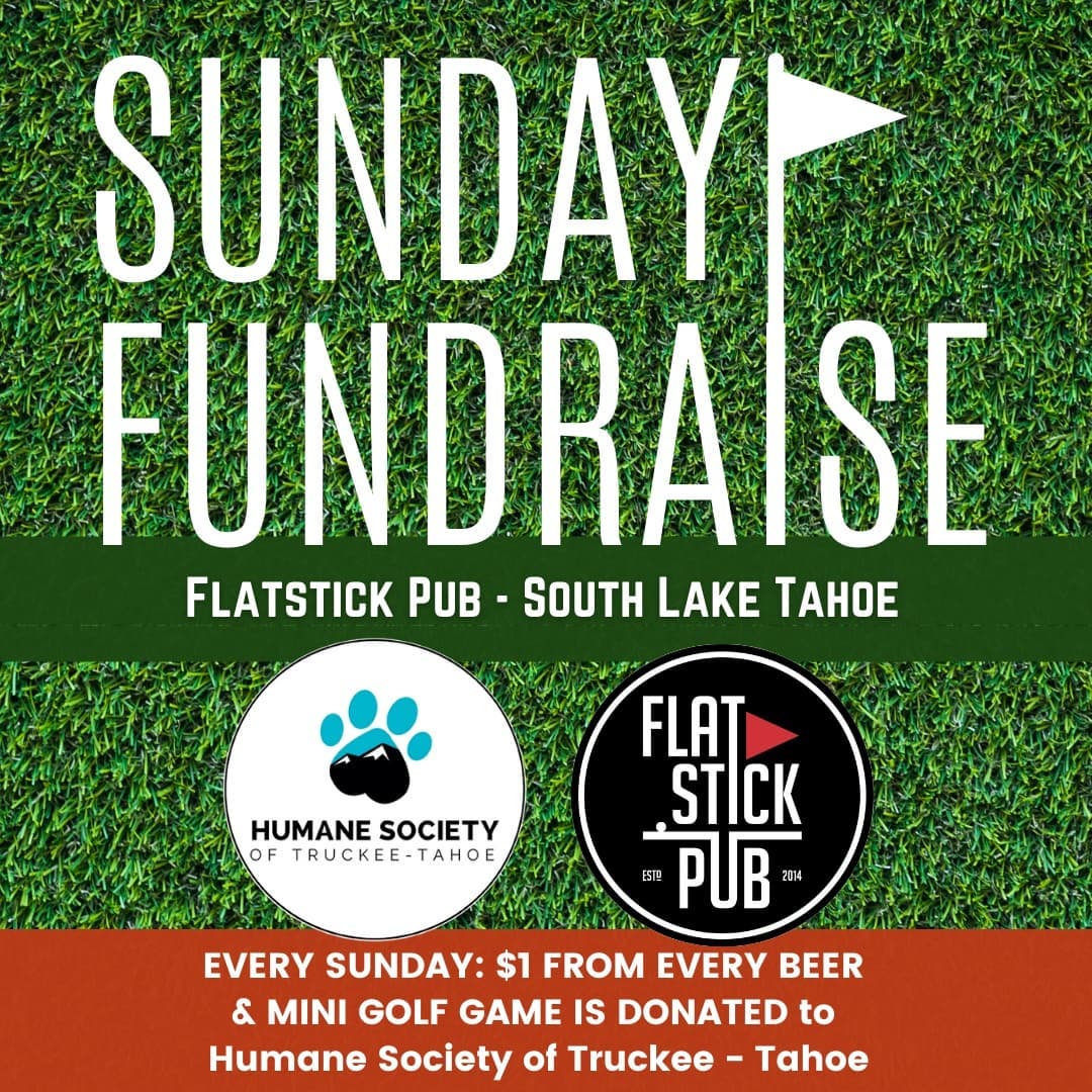 Looking for something fun to do this Sunday, Nov 7th?

Come join us at @flatstickpubtahoe South Lake for a pint and some indoor golf. $1 from each pint and golf game will be donated to HSTT. Come with the family or with friends, Flatstick is open from 11am-12am.

This event will happen every Sunday through the month of November.

HSTT Staff & Volunteers with be there each day from 2-5pm with giveaways, prizes and some fuzzy Alumni & Therapy pals! Come see us and say hello.