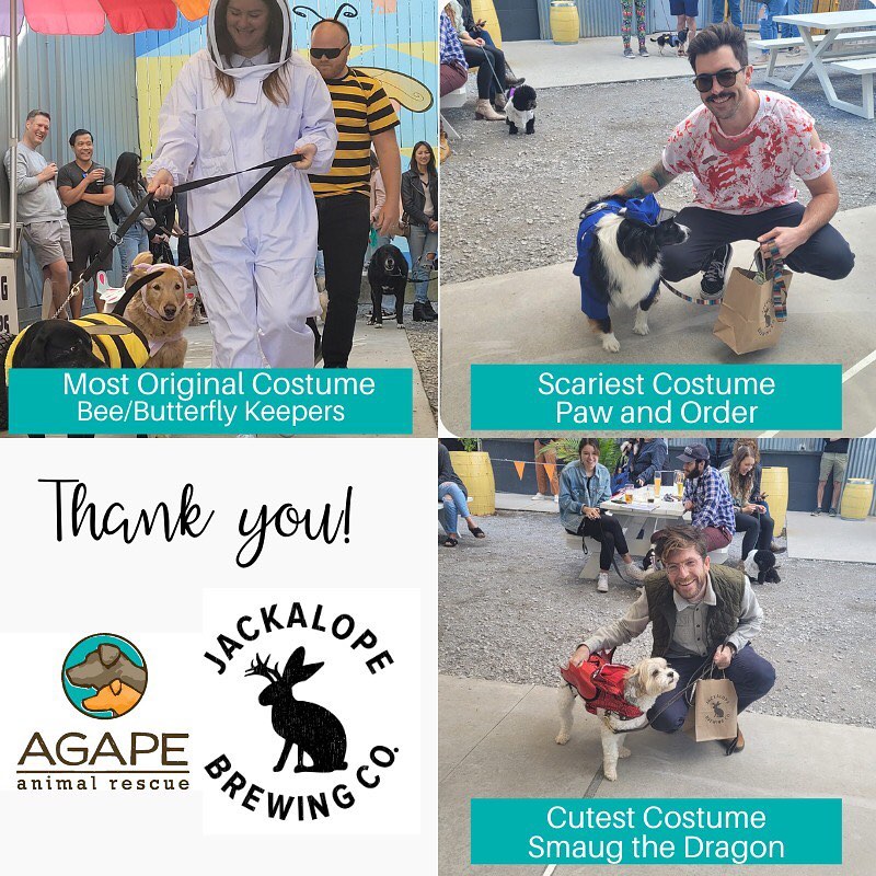 We had so much fun this past Sunday with our friends @jackalopebrew @jackalopetaproom hosting our Legendary Costume Contest… And here are our winners! Thank you to all of the people and pups who turned out with their amazing costumes, so many creative and fun ideas (really everyone was a winner to us) 🐾🐶👻🎃🍻