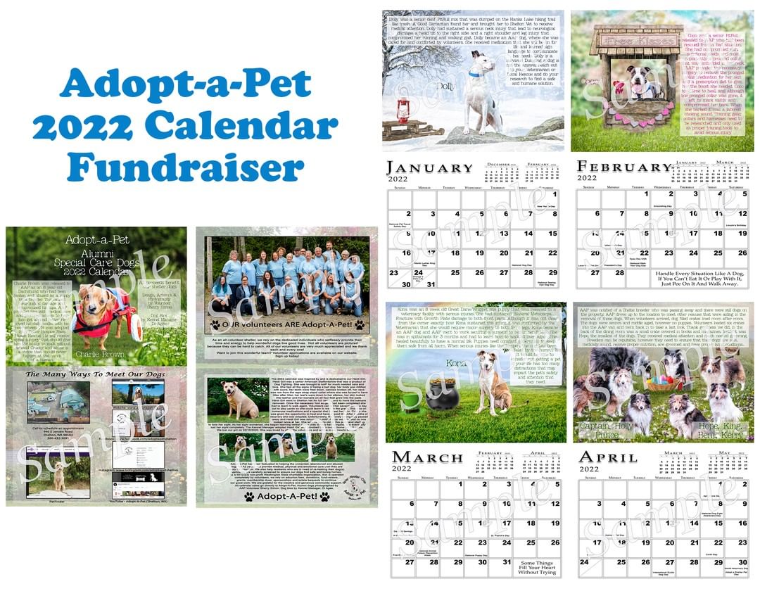 We are so excited to bring you the 2022 Alumni Calendar. This year's calendar is a very special calendar and means so much to all of the volunteers at Adopt-a-Pet. The calendar features several of our wonderful Special Care Dogs who have found their furever homes and a couple who are still looking. It features 14 gorgeous art pieces created by Volunteer Photographer, Sherry Simon and 14 heartfelt stories written by Kennel Manager, Di Agee.

This calendar was inspired by our very own Heidi Girl who has since passed but will never be forgotten. Her story is at the end of the calendar and is near and dear to all of the volunteers who helped her through her recovery process at Adopt-a-Pet. Heidi Girl and all of our special care dogs may have started with heartache, but thanks to the AAP volunteers and community support, their stories became success stories allowing them to experience the love that they so deserve. 