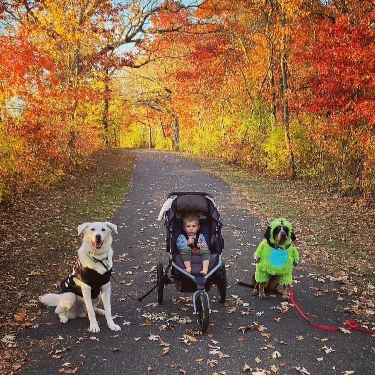 🎃Happy Halloween everyone! 👻
Lily and Robby celebrated as a monster and a skeleton.  What is your dog dressing up as this year? 

<a target='_blank' href='https://www.instagram.com/explore/tags/packthalloweenpawty/'>#packthalloweenpawty</a> <a target='_blank' href='https://www.instagram.com/explore/tags/happyhalloween/'>#happyhalloween</a>