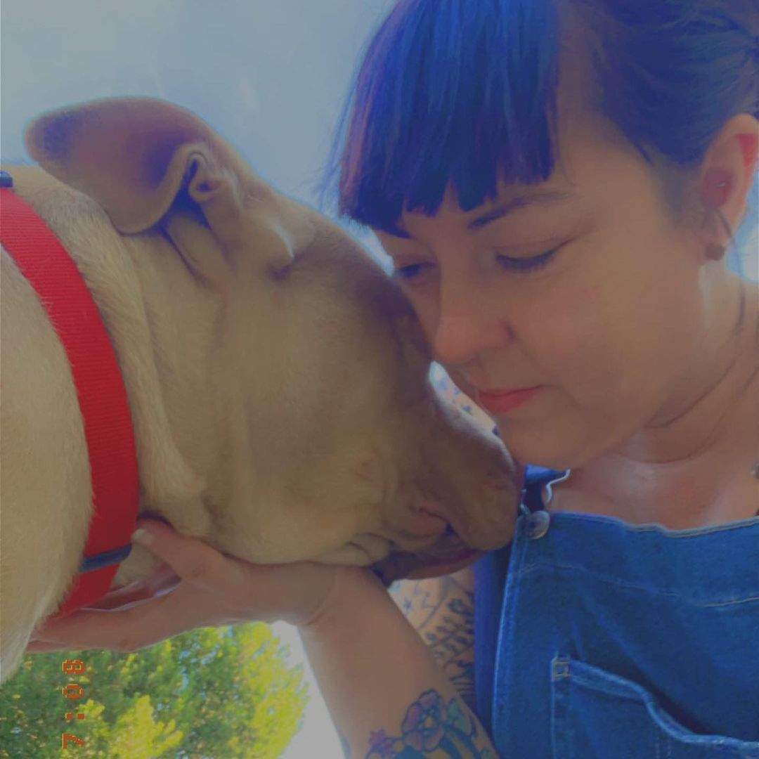 <a target='_blank' href='https://www.instagram.com/explore/tags/Weston/'>#Weston</a> - the sweetest. The most docile dog. 

Weston was the pitbull living around a motel and gas station near the I5 freeway towards Buttonwillow for several months. I’ve been fostering him, getting him prepared for a permanent home. He wouldn’t walk on leash when he first came, he’s now wonderful on leash. Sometimes he’s hesitant of his surroundings but turns into a happy, prancing dog on leash now 🙂 

Weston’s extremely dog friendly. Loves dogs. Loves to play. Would do good in a home with another friendly dog or would be great alone as well. Also, exceptional with children! Any age! 

Weston has manners, never jumps, never mouthy, isn’t destructive, never barks, listens calmly to commands. Almost too good to be true! ⭐️ 

He’s due to be neutered next week and will be ready to find a family to call his own. 

If interested in meeting Weston, please message us or email @ info@asafefurrplace.com. 
He’s an amazing dog and would be so grateful to be adopted 🌟 

~Sheila ꨄ

Bakersfield, Ca (out of town adopters encouraged)

<a target='_blank' href='https://www.instagram.com/explore/tags/weston/'>#weston</a> <a target='_blank' href='https://www.instagram.com/explore/tags/asp/'>#asp</a> <a target='_blank' href='https://www.instagram.com/explore/tags/buttonwillowpit/'>#buttonwillowpit</a> <a target='_blank' href='https://www.instagram.com/explore/tags/pittymix/'>#pittymix</a> <a target='_blank' href='https://www.instagram.com/explore/tags/calm/'>#calm</a> <a target='_blank' href='https://www.instagram.com/explore/tags/adoptable/'>#adoptable</a> <a target='_blank' href='https://www.instagram.com/explore/tags/adoptme/'>#adoptme</a> <a target='_blank' href='https://www.instagram.com/explore/tags/lovethispitbull/'>#lovethispitbull</a> <a target='_blank' href='https://www.instagram.com/explore/tags/asafefurrplace/'>#asafefurrplace</a>