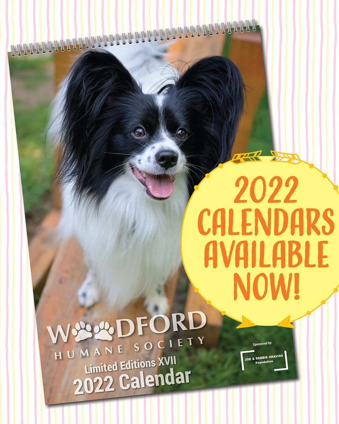 And, guess what else has suddenly appeared in our store...that's right! It's a truly gorgeous, seriously the prettiest ever, dreamy-funny-cute 2022 Calendar!!! 

These make great gifts, as well as great inspo for a pawsitive-vibes-only 2022. They're big, sturdy, and absolutely stunning (seriously, we can't mention that enough). 

Order yours today or find a retailer near you (including our Adoption Center)! They're here and ready to ship!