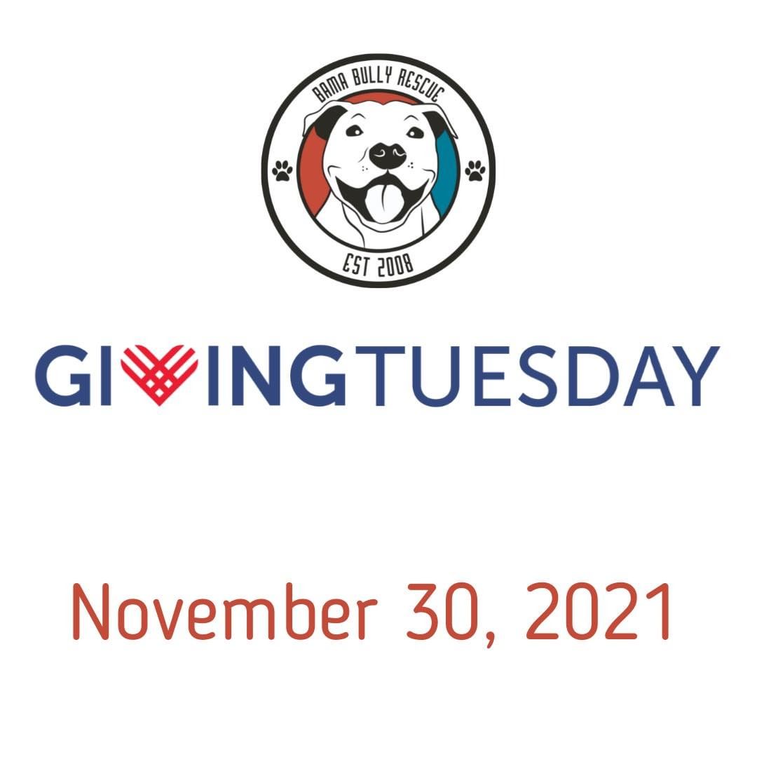 Happy November! 🍁🍂 We are already gearing up for GivingTuesday 2021. Mark your calendars for 11/30/21! 🗓 Make your donations go the extra mile with a match this year!!💰