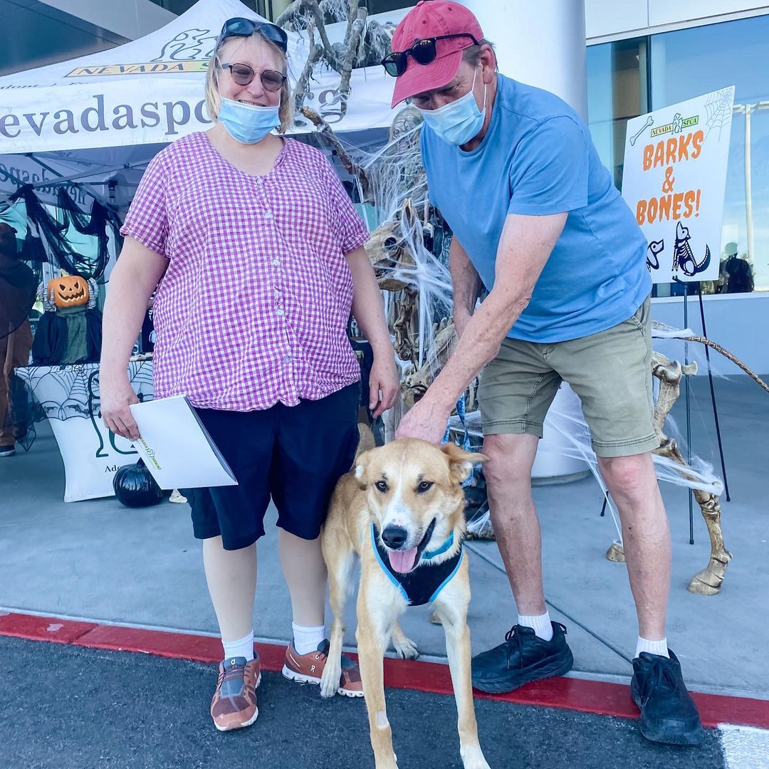 No bones about it! Our ‘skeleton crew’ had such a ghoulishly good time during Findlay Subaru of Las Vegas’s 2nd Annual Halloween Hounds trunk-or-treat and adoption event! 💀 🎃 👻⁣ 🦴 ☠️⁣
⁣⁣
Blair, Bubba, and Bugsy all found their loving forever homes yesterday! 🙌 🐾⁣⁣
⁣⁣
Thank you @subaru_lv @samandashlaw and @raisingcanes! ⁣⁣
•⁣⁣
•⁣⁣
•⁣⁣
<a target='_blank' href='https://www.instagram.com/explore/tags/findhappiness/'>#findhappiness</a> <a target='_blank' href='https://www.instagram.com/explore/tags/opttoadopt/'>#opttoadopt</a> <a target='_blank' href='https://www.instagram.com/explore/tags/halloween/'>#halloween</a> <a target='_blank' href='https://www.instagram.com/explore/tags/subarulovespets/'>#subarulovespets</a> <a target='_blank' href='https://www.instagram.com/explore/tags/trunkortreat/'>#trunkortreat</a> <a target='_blank' href='https://www.instagram.com/explore/tags/opttoadopt/'>#opttoadopt</a> <a target='_blank' href='https://www.instagram.com/explore/tags/shelterdog/'>#shelterdog</a> <a target='_blank' href='https://www.instagram.com/explore/tags/shelterdogsofinstagram/'>#shelterdogsofinstagram</a> <a target='_blank' href='https://www.instagram.com/explore/tags/adoptashelterdog/'>#adoptashelterdog</a> <a target='_blank' href='https://www.instagram.com/explore/tags/adoptdontshop/'>#adoptdontshop</a> <a target='_blank' href='https://www.instagram.com/explore/tags/lasvegas/'>#lasvegas</a> <a target='_blank' href='https://www.instagram.com/explore/tags/vegas/'>#vegas</a> <a target='_blank' href='https://www.instagram.com/explore/tags/spca/'>#spca</a> <a target='_blank' href='https://www.instagram.com/explore/tags/nevadaspca/'>#nevadaspca</a>