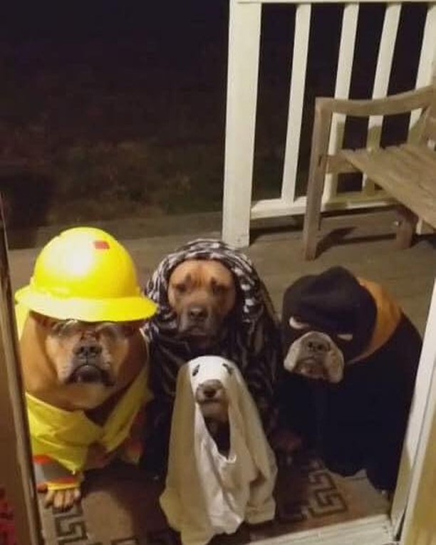 Hope you had a great Halloween!