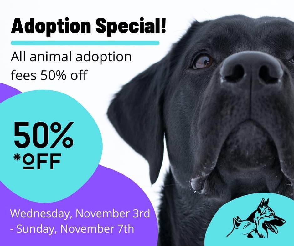 💙💜 ADOPTION SPECIAL 💜💙 we have so many animals in our facility that we need to get into loving homes! If you’ve ever thought about adopting now is the time!