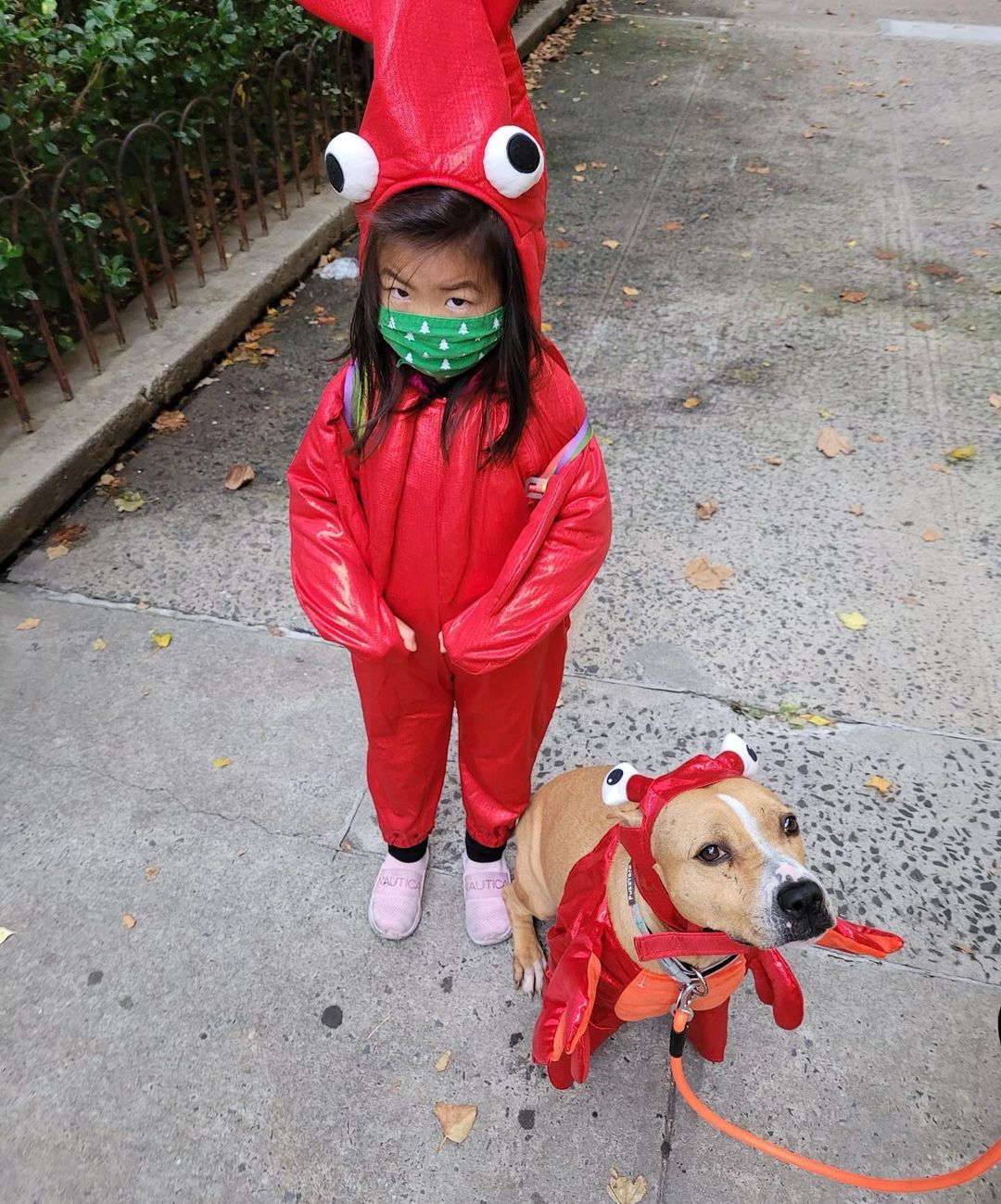 Happy Halloween! Just a few of our <a target='_blank' href='https://www.instagram.com/explore/tags/adopted/'>#adopted</a> rescues in their Halloween costumes! 🎃