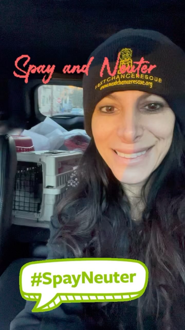 Another Spay and Neuter today!!! 9 babies getting snipped snipped so no more babies!!! Over population and breeding are 2 of the biggest problems we have and why rescues and shelters are full!! Please spay and neuter your furbabies!! It saves lives!!! <a target='_blank' href='https://www.instagram.com/explore/tags/spayandneuter/'>#spayandneuter</a> <a target='_blank' href='https://www.instagram.com/explore/tags/spayandneuteryourpets/'>#spayandneuteryourpets</a> <a target='_blank' href='https://www.instagram.com/explore/tags/saveslives/'>#saveslives</a> <a target='_blank' href='https://www.instagram.com/explore/tags/stopbreeding/'>#stopbreeding</a> <a target='_blank' href='https://www.instagram.com/explore/tags/vetday/'>#vetday</a> <a target='_blank' href='https://www.instagram.com/explore/tags/spayandneutersaveslives/'>#spayandneutersaveslives</a> <a target='_blank' href='https://www.instagram.com/explore/tags/nextchancerescue/'>#nextchancerescue</a> 😻🐶❤️