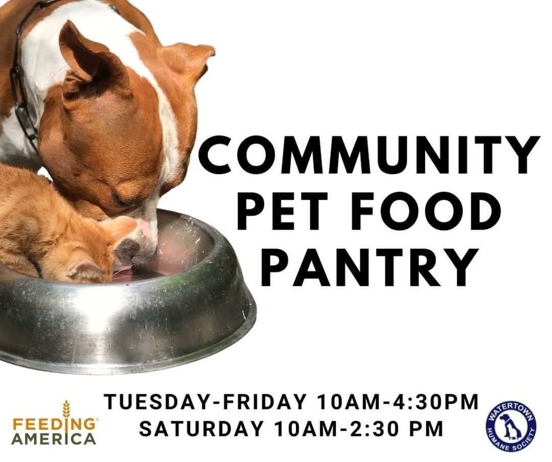 The Watertown Food Pantry, it's dedicated helpers, along with Feeding America, have graciously donated pet food to our community to those who may need assistance in feeding their pets. Stop by the Watertown Humane Society during office hours (Tuesday-Friday 10am-4:30pm and Saturday 10am-2:30pm) and help yourself to the items in our front lobby. PLEASE NOTE: our shelter is by appointment only for approved adopters and we cannot accept walk-ins for animal viewing.