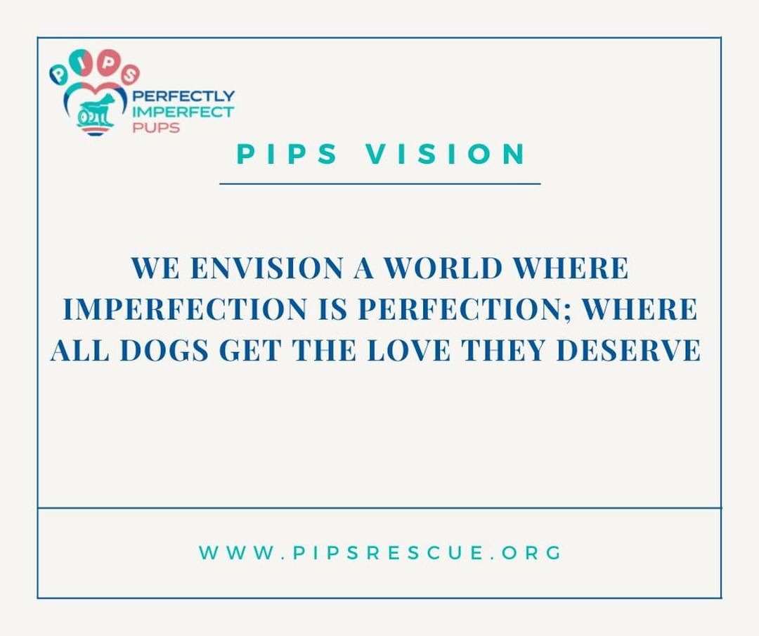 This is PIPs vision for the world, this is what PIPs is working towards. It’s the end game and we won’t stop until we get there! Thank you all for believing and trusting PIPs Vision - we cannot wait to see what the future holds. 

<a target='_blank' href='https://www.instagram.com/explore/tags/pipsrescue/'>#pipsrescue</a> <a target='_blank' href='https://www.instagram.com/explore/tags/perfectlyimperfectpups/'>#perfectlyimperfectpups</a> <a target='_blank' href='https://www.instagram.com/explore/tags/pipsvision/'>#pipsvision</a> <a target='_blank' href='https://www.instagram.com/explore/tags/adoptdontshop/'>#adoptdontshop</a>